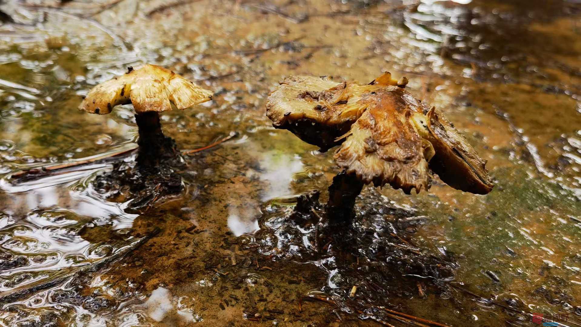 马世国_2025-10-13_143649_013 (4).jpg