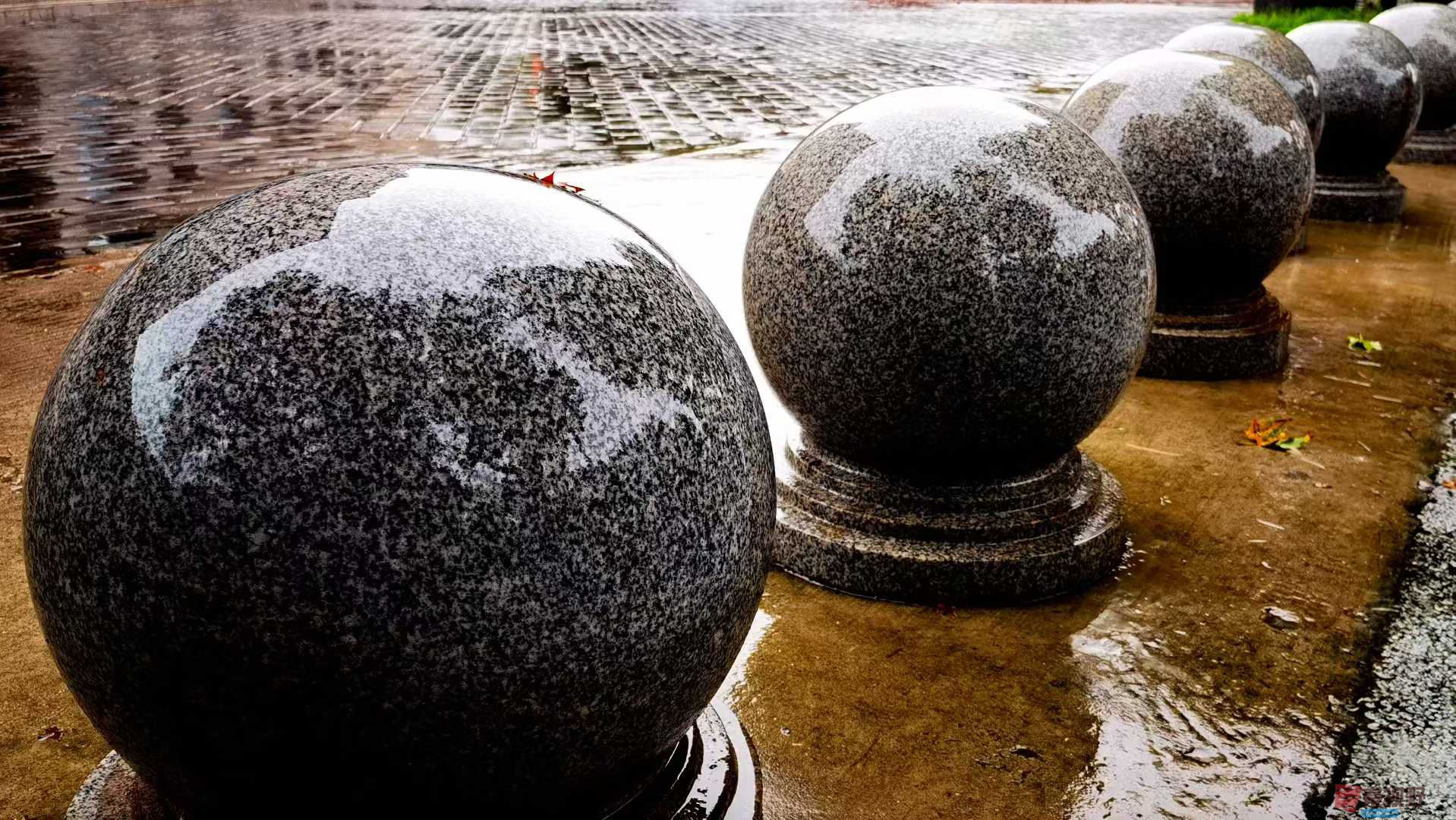 马世国_2025-10-13_143649_013 (7).jpg