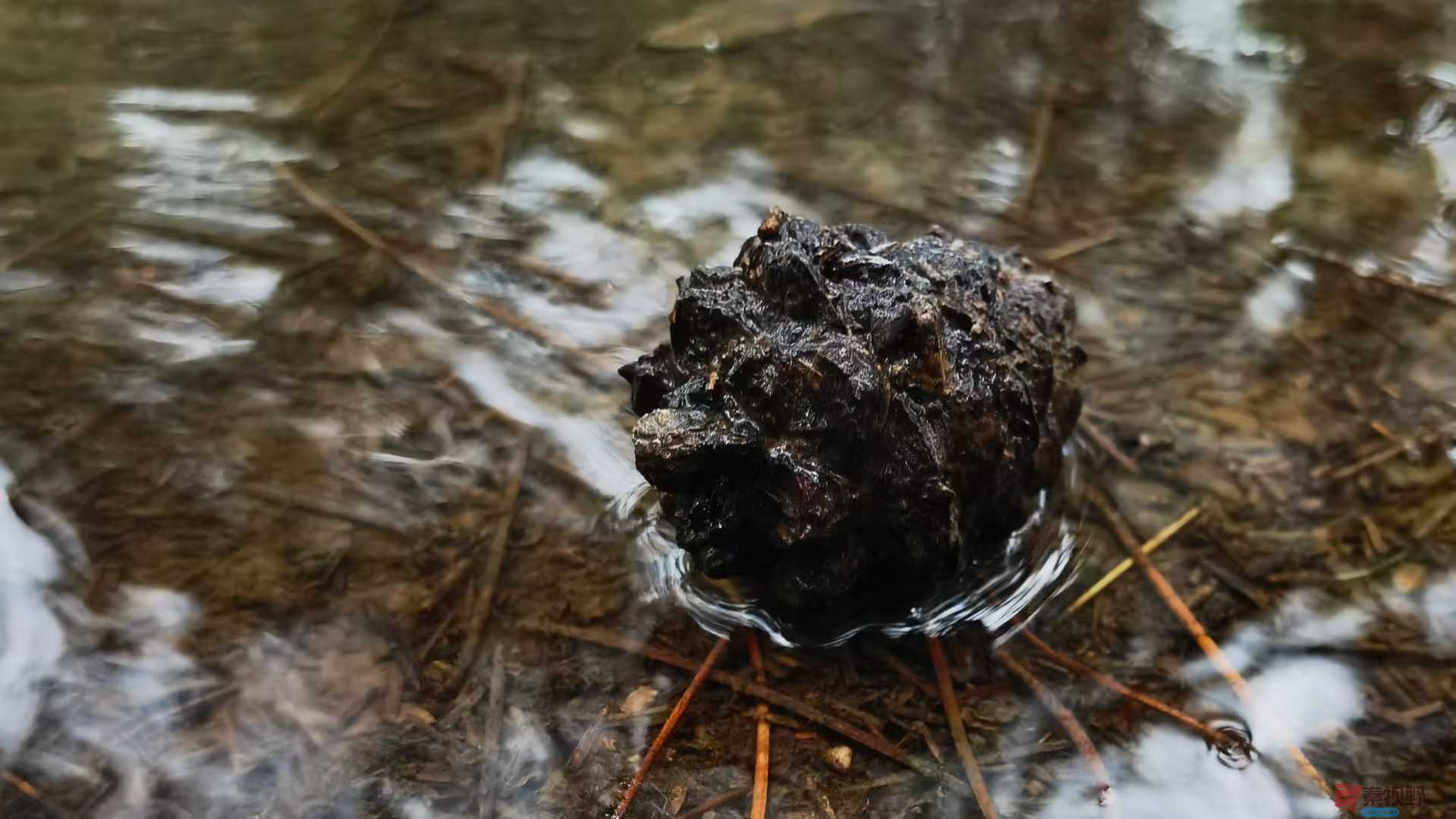 马世国_2025-10-13_143649_013 (6).jpg