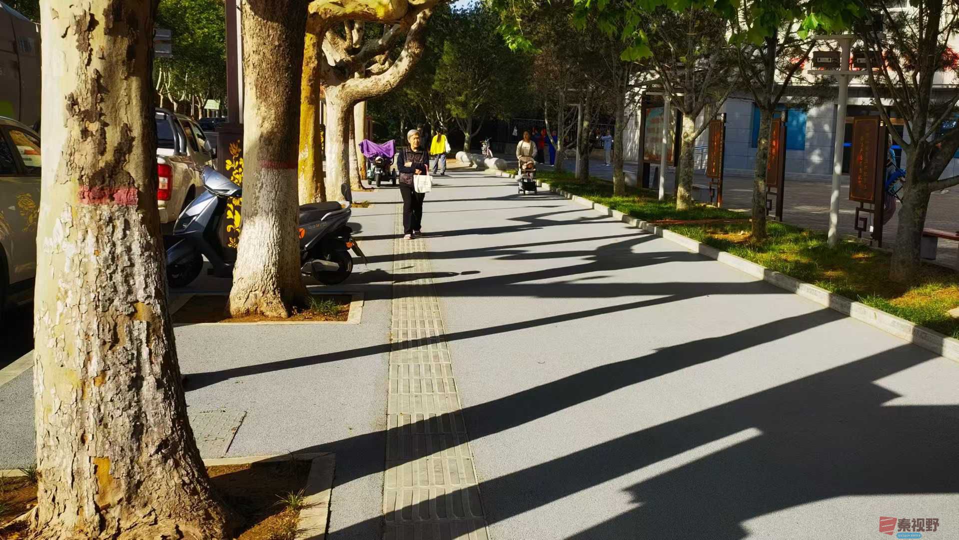 马世国_2025-10-13_145259_920 (1).jpg