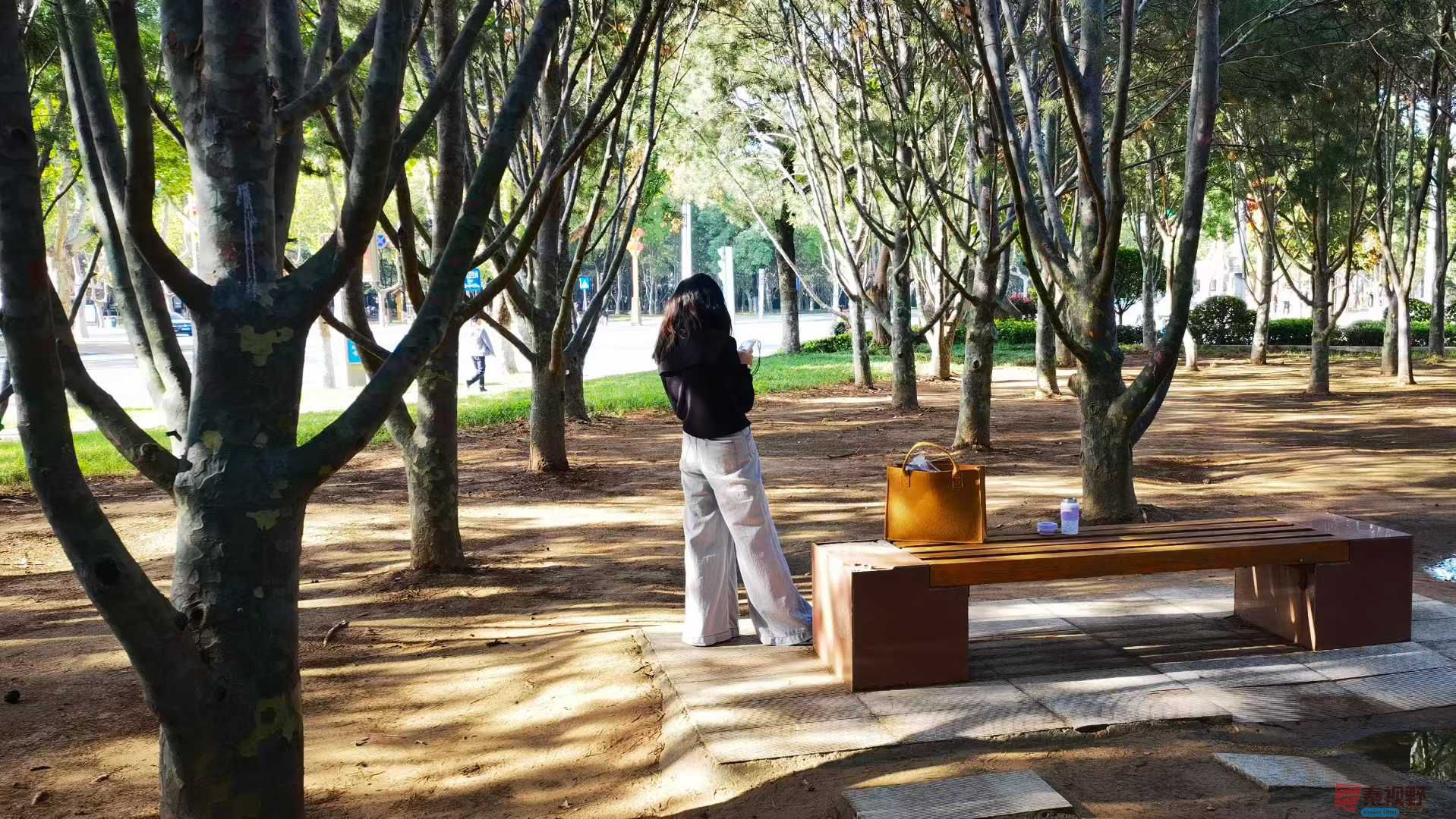 马世国_2025-10-13_145259_920 (3).jpg