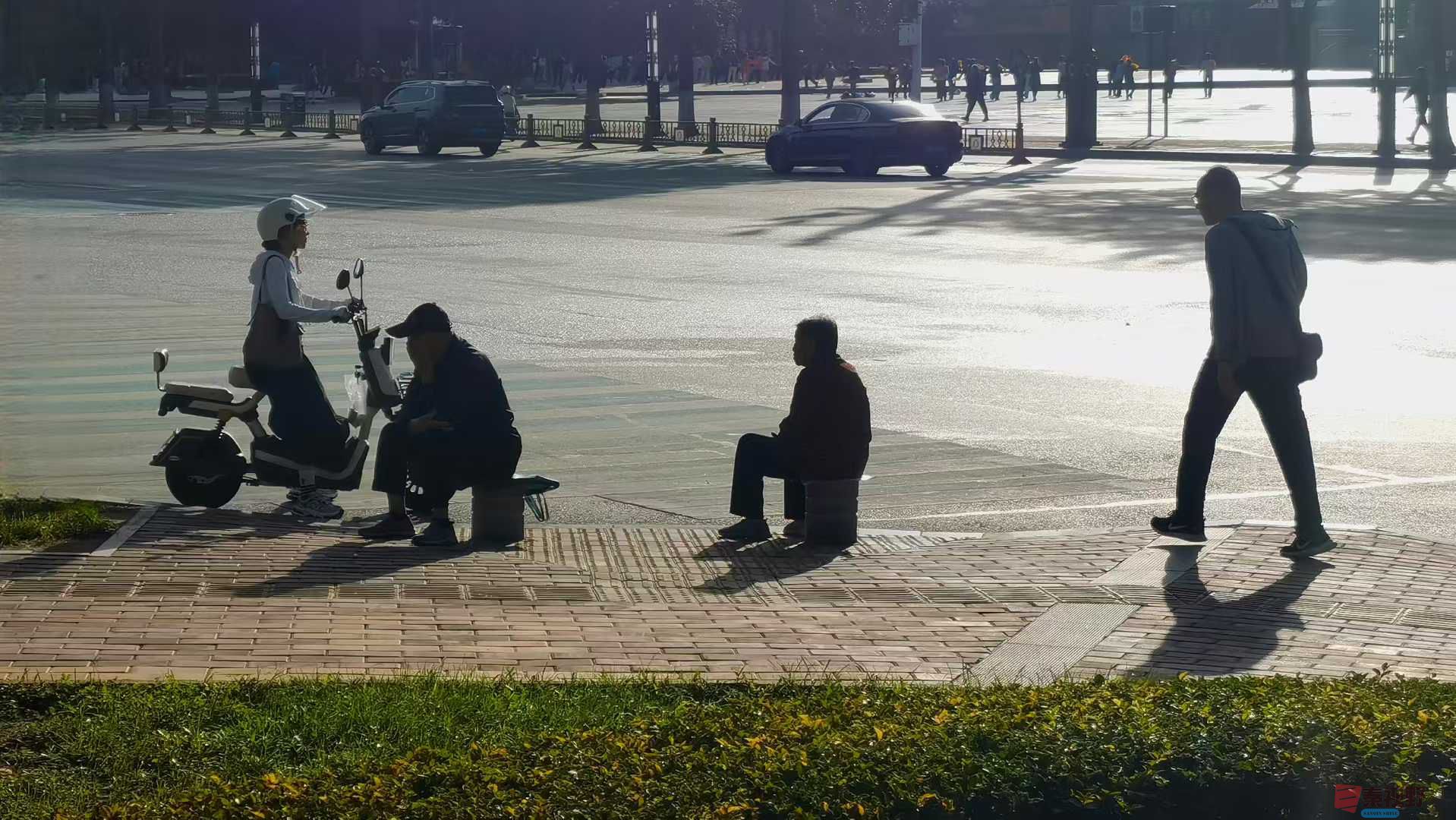 马世国_2025-10-13_145259_920 (4).jpg