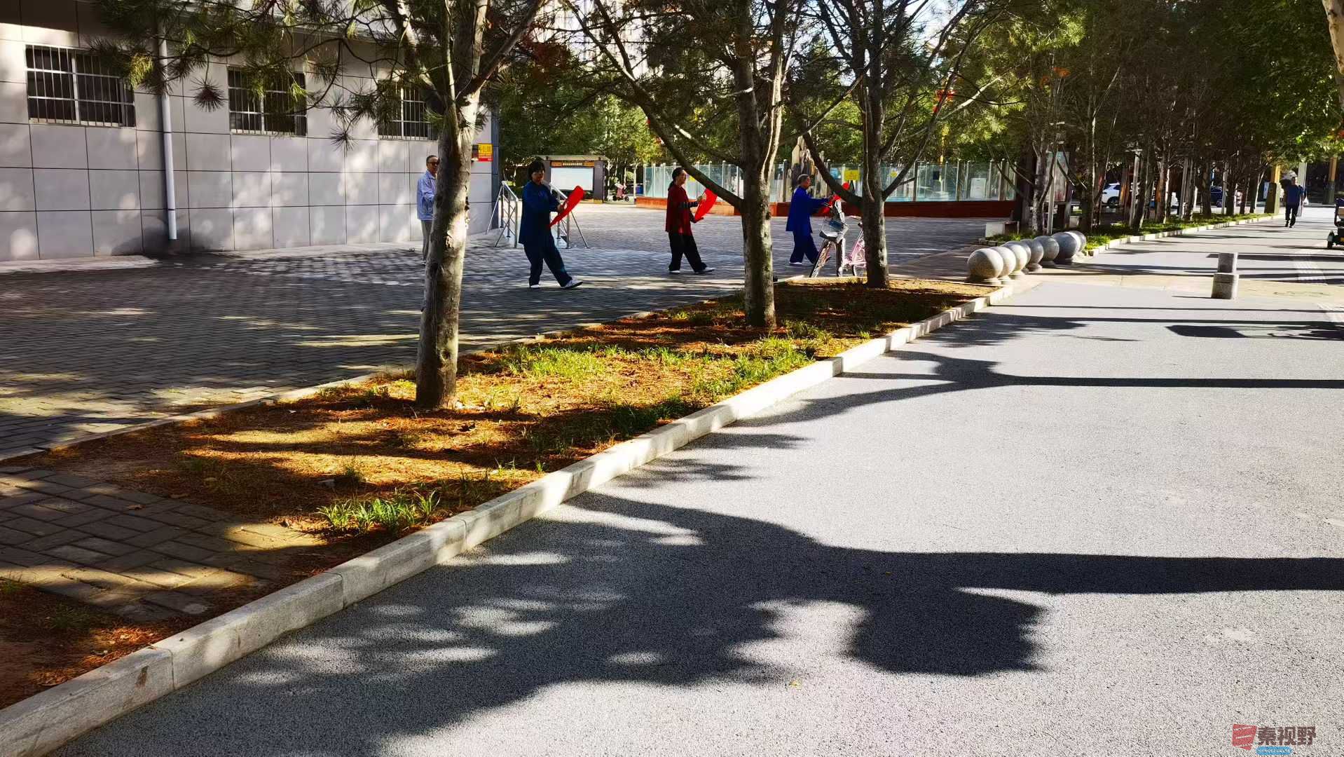 马世国_2025-10-13_145259_920 (9).jpg