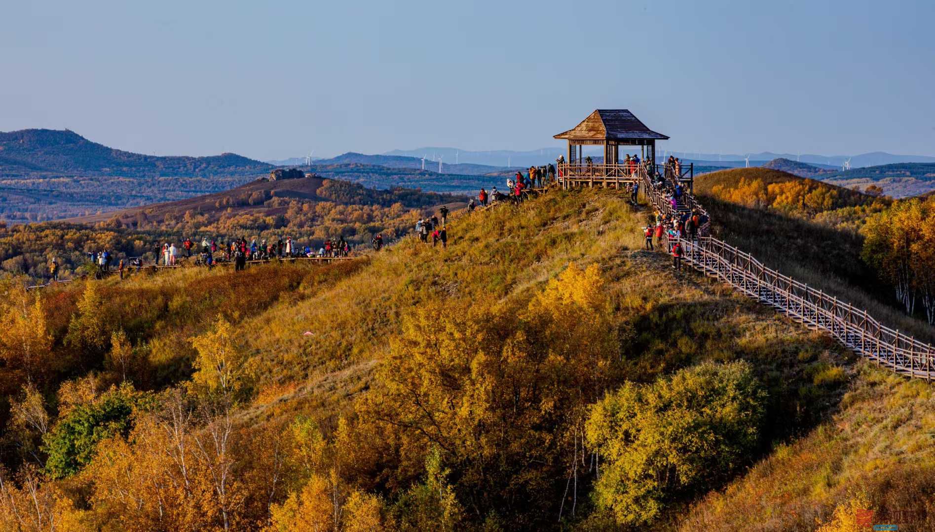 张宝光_2025-10-13_150335_402 (2).jpg