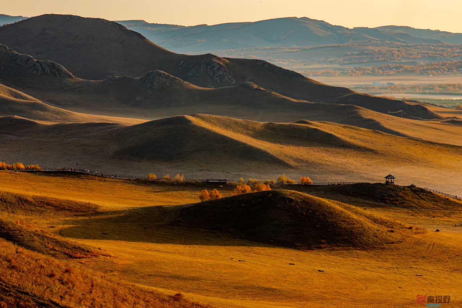 张宝光_2025-10-13_150335_402 (1).jpg