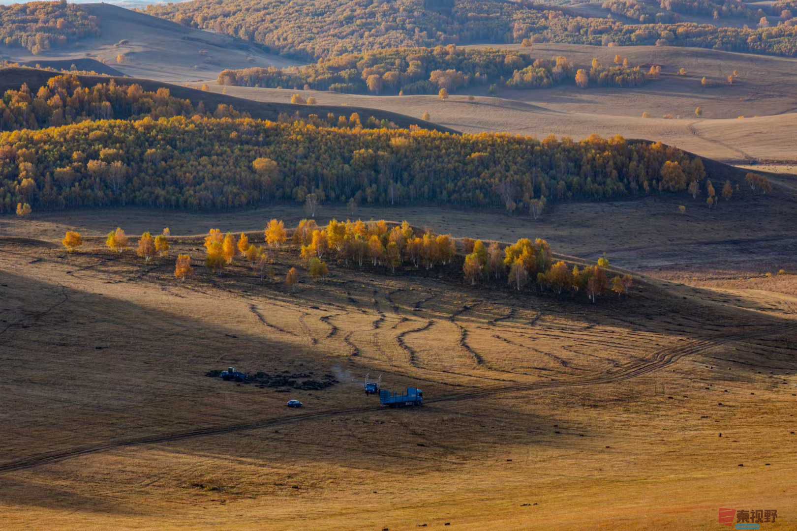 张宝光_2025-10-13_150335_402 (3).jpg