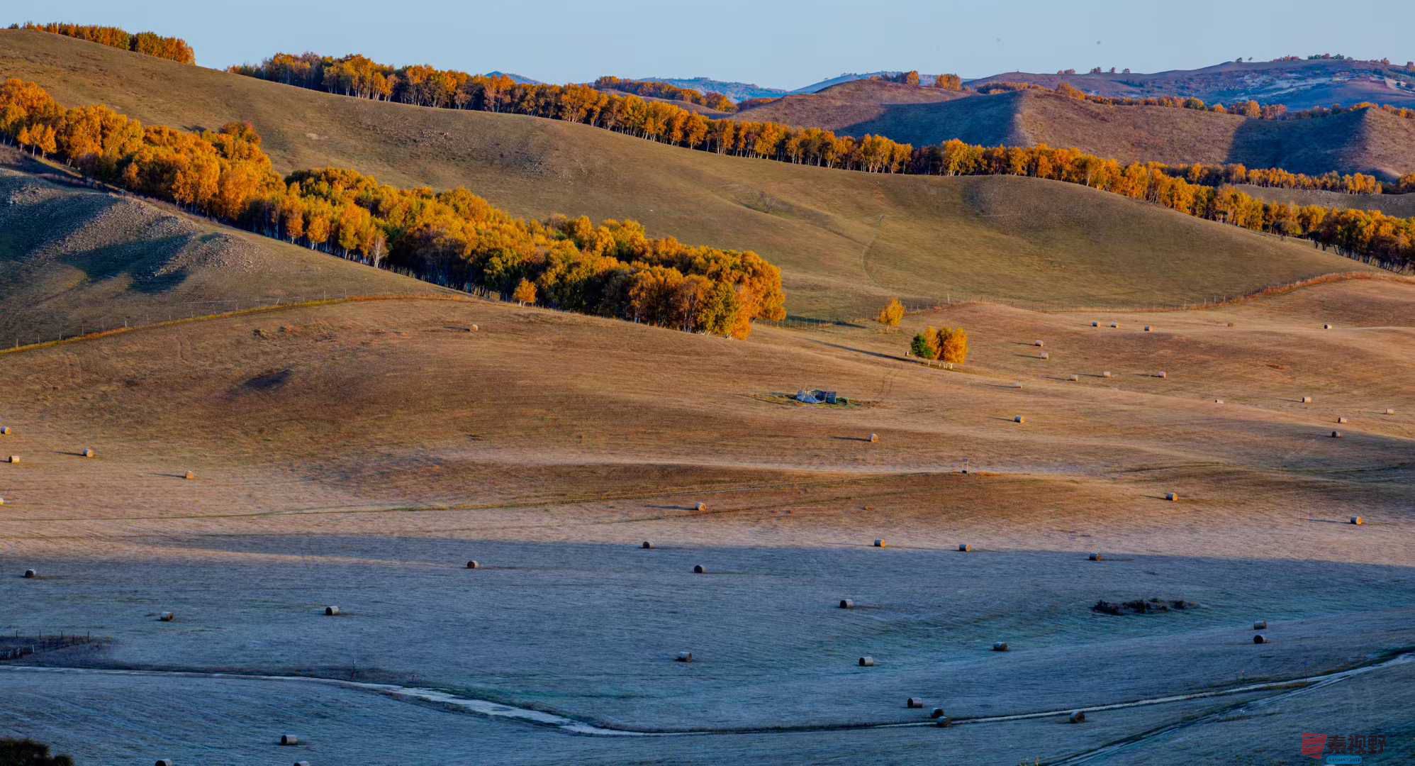 张宝光_2025-10-13_150335_402 (8).jpg