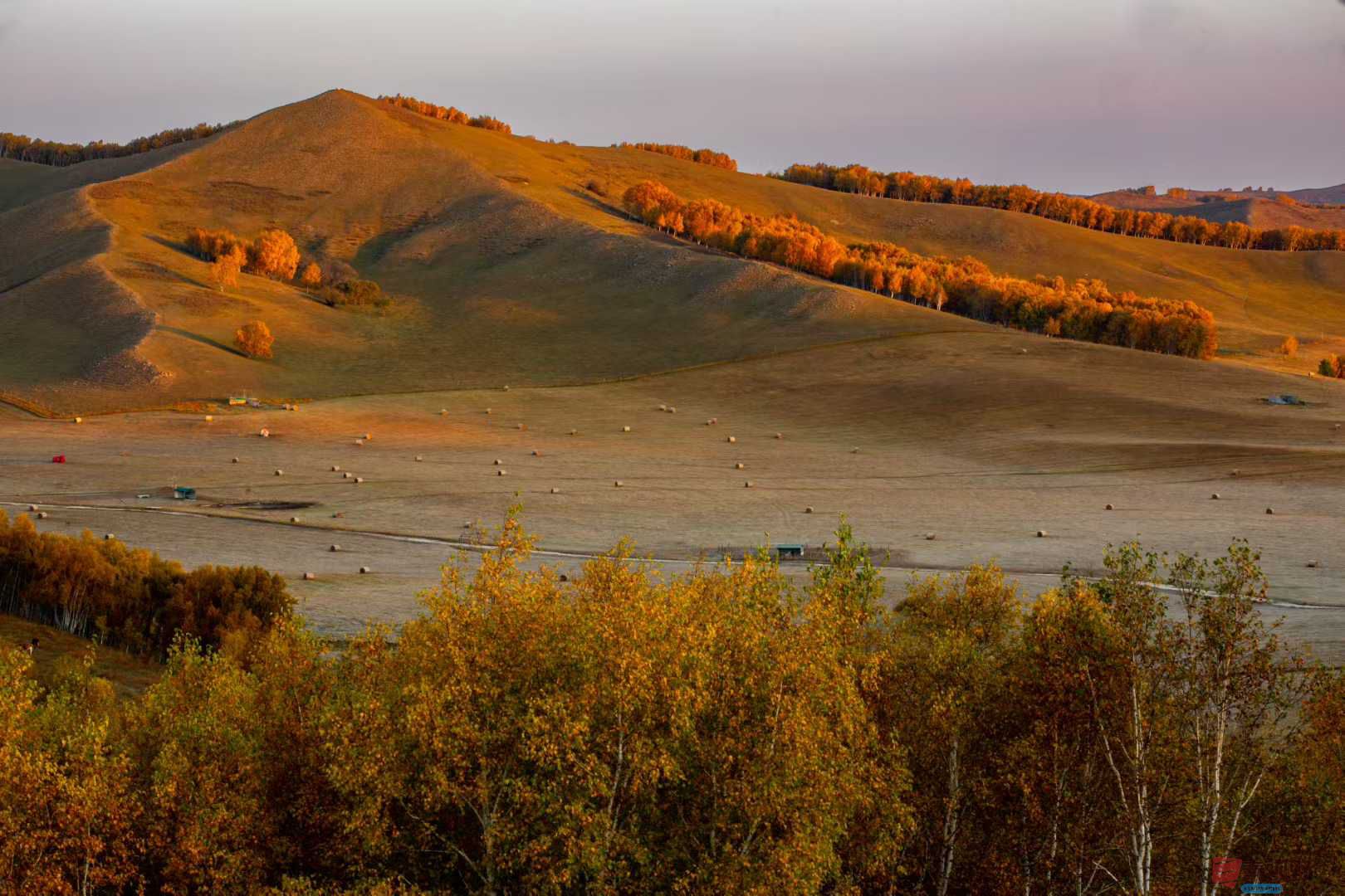 张宝光_2025-10-13_150335_402 (7).jpg