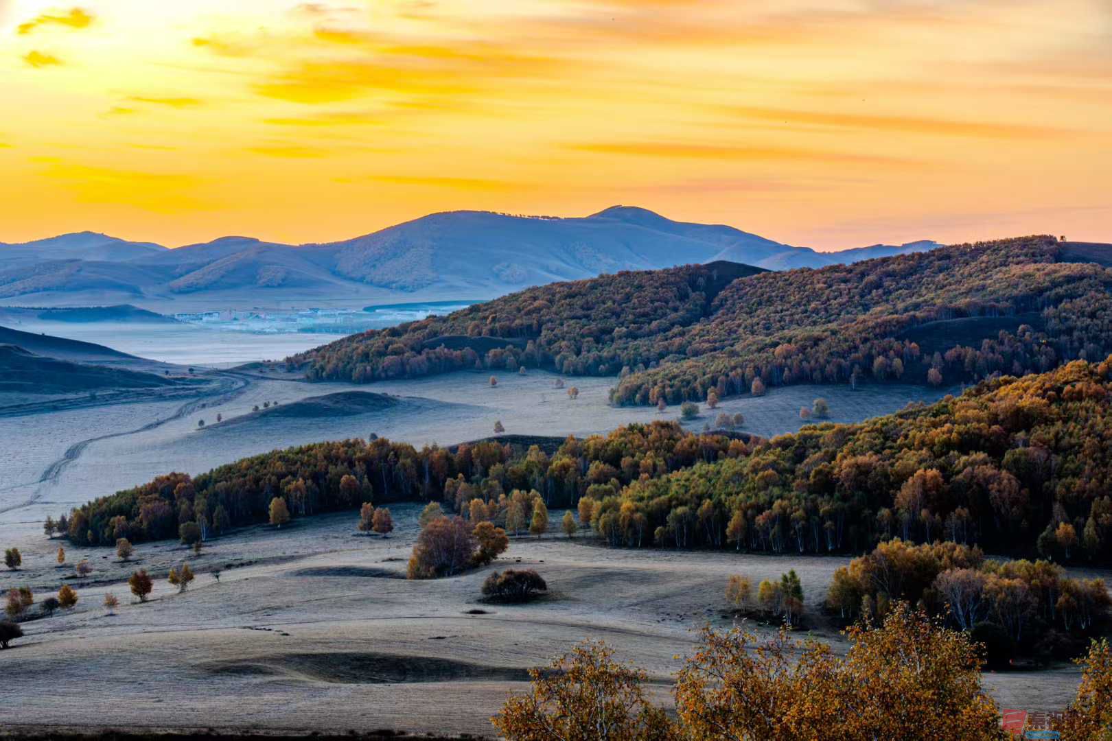 张宝光_2025-10-13_150335_402 (9).jpg