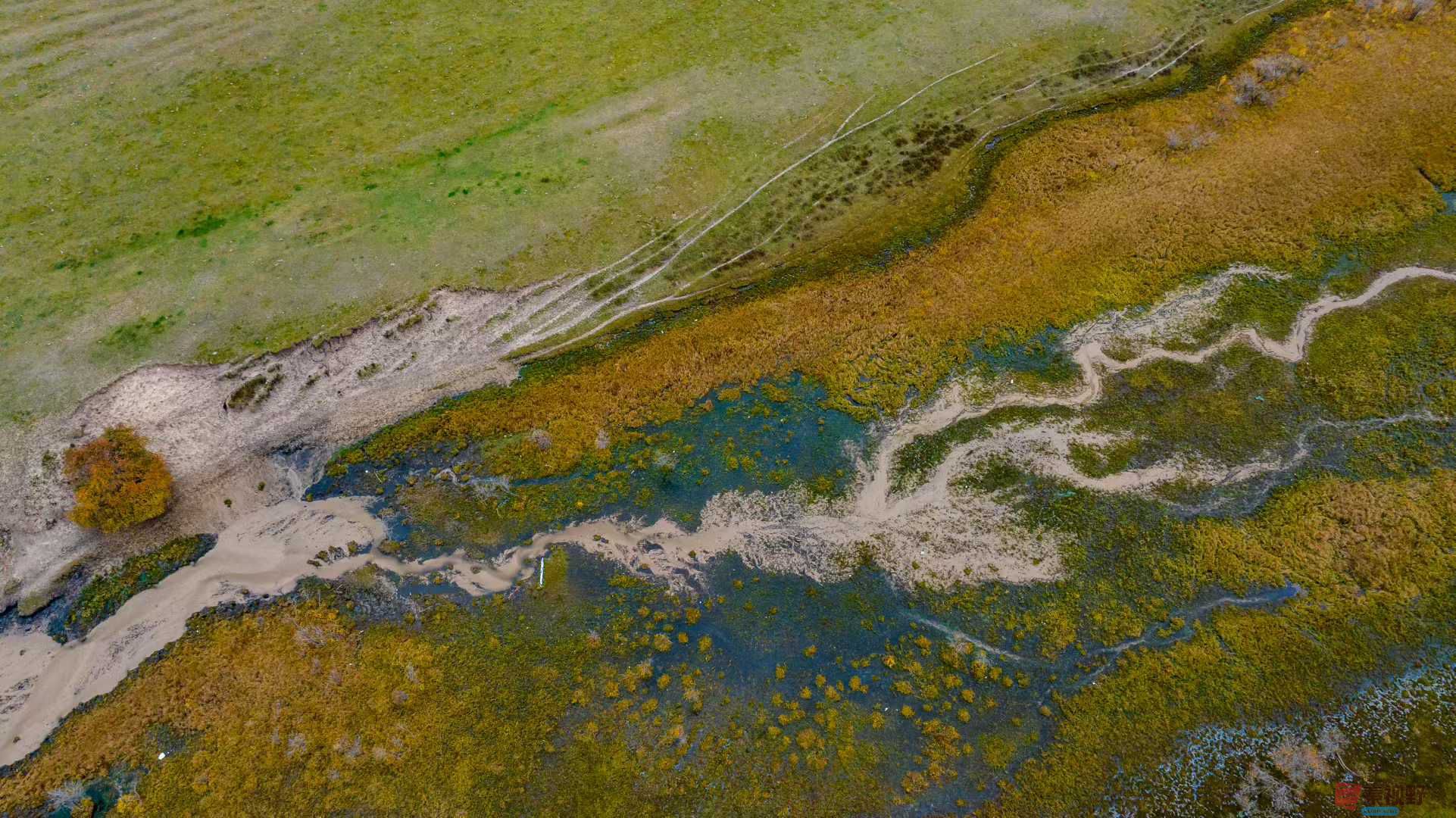 张宝光_2025-10-13_150447_883 (3).jpg