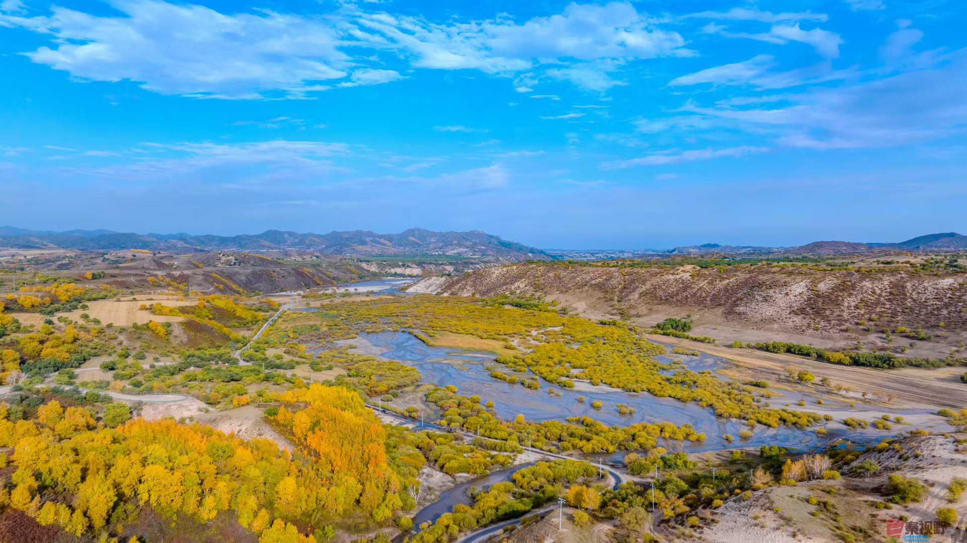 张宝光_2025-10-13_150447_883 (1).jpg