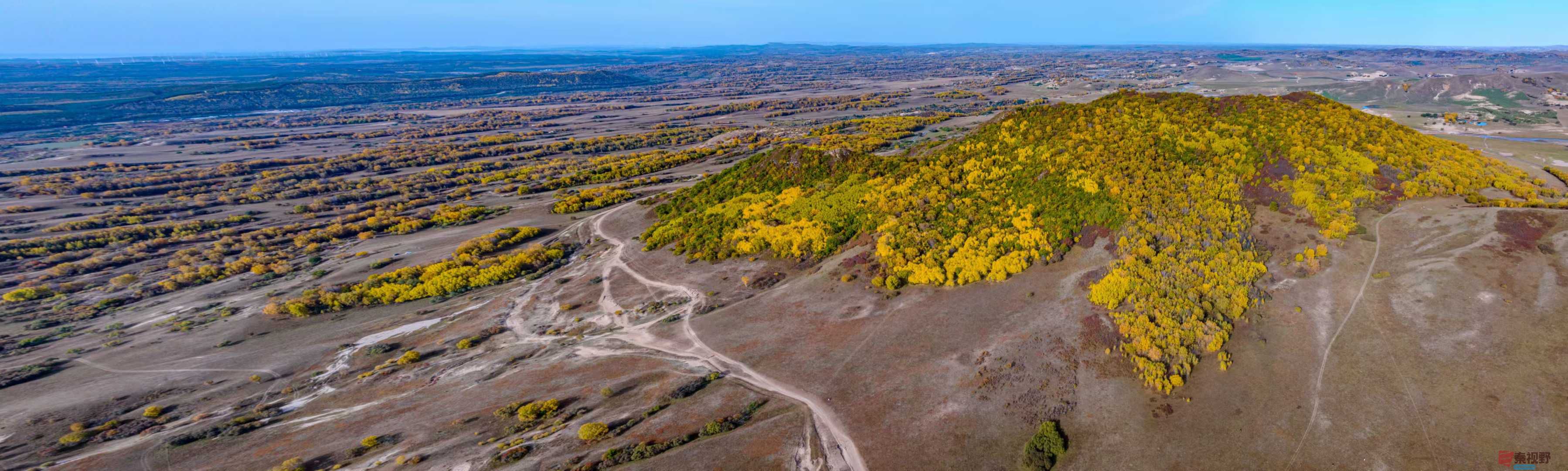 张宝光_2025-10-13_151851_548 (4).jpg