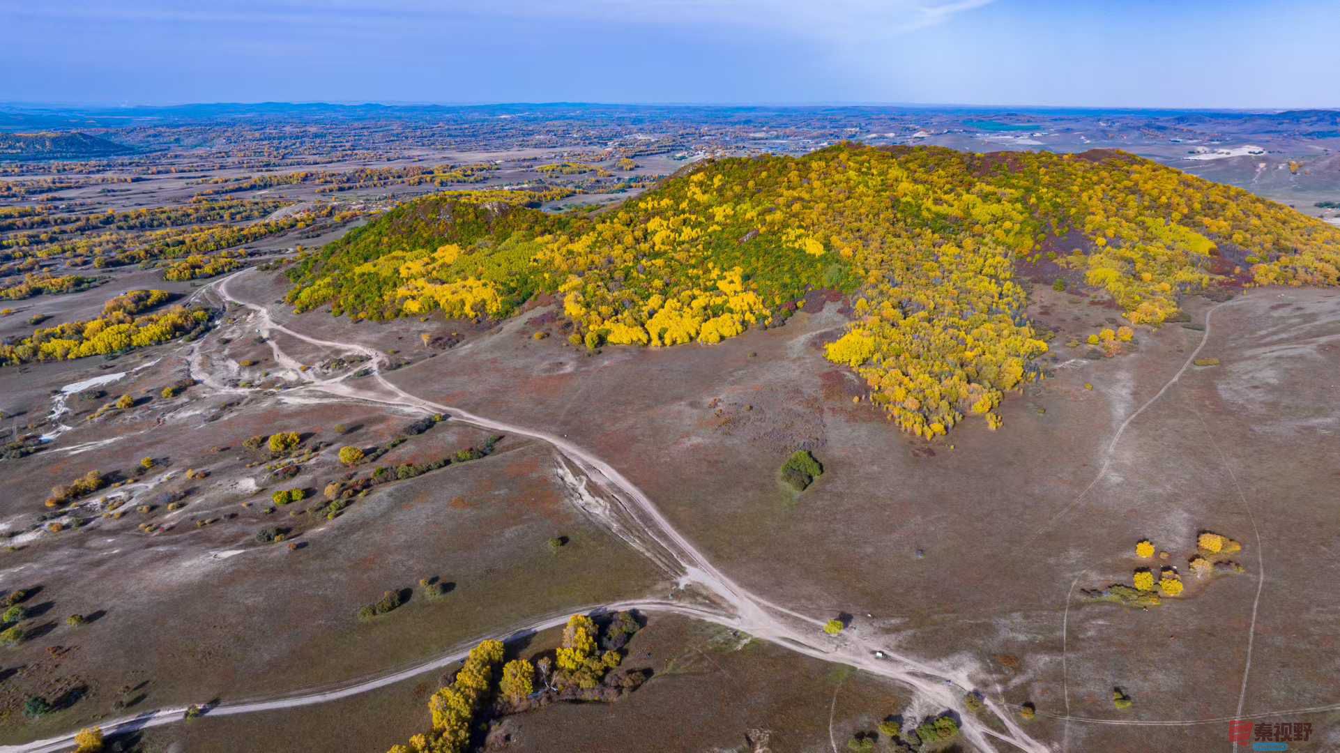 张宝光_2025-10-13_151851_548 (6).jpg