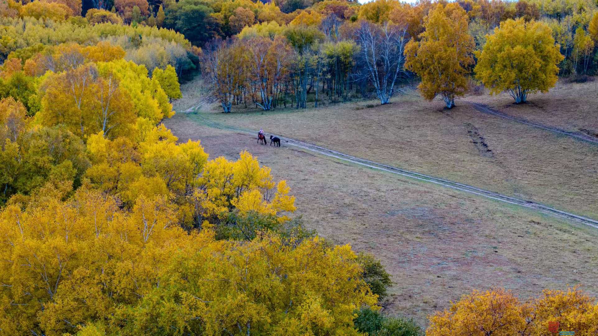 聆听自然的声音【摄影张宝光】