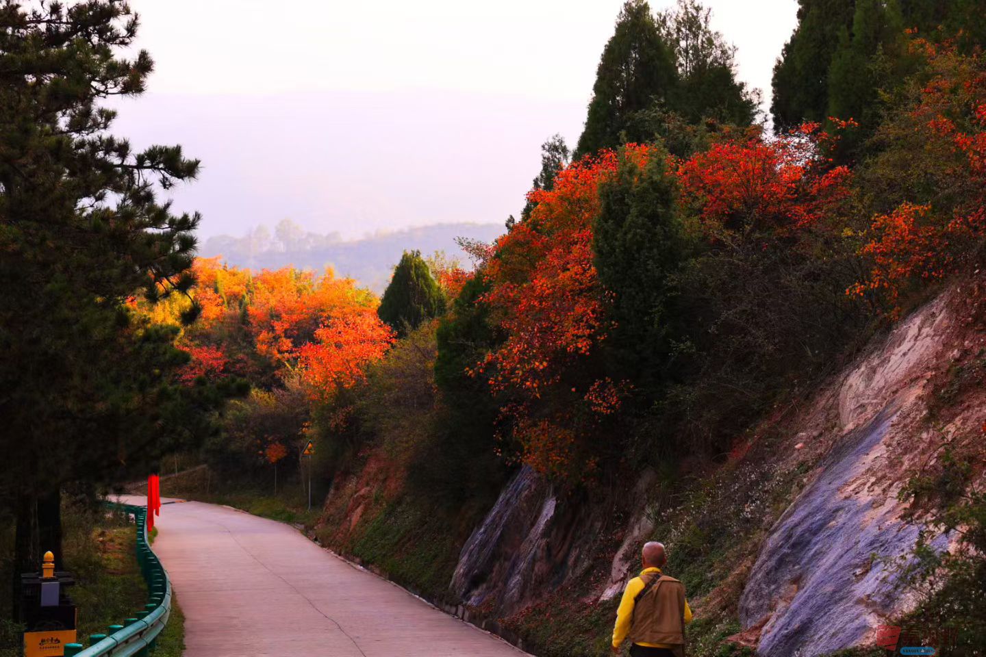 宋宝文20251015 (3).jpg