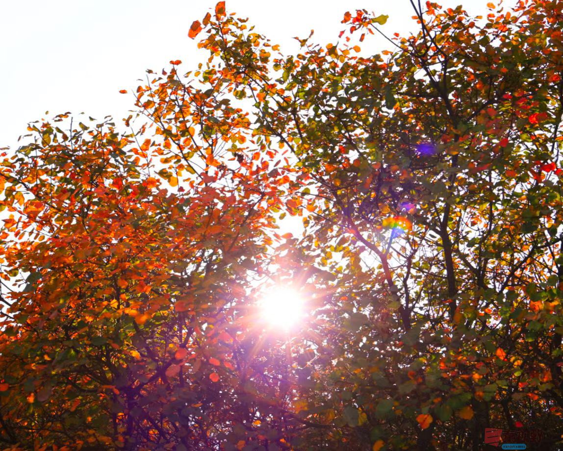 宋宝文20251015 (2).jpg