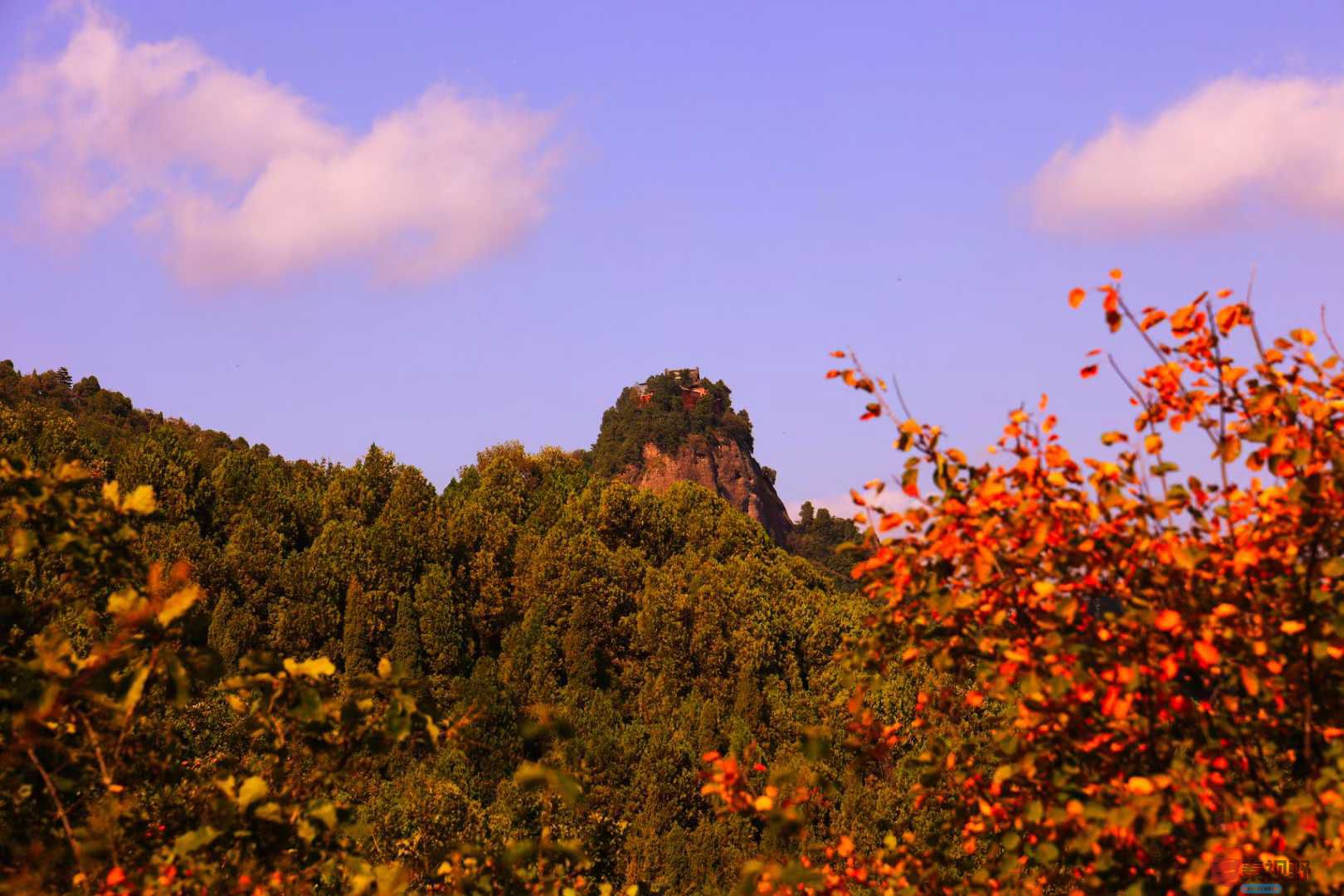 宋宝文_2025-10-14_192900_351 (6).jpg