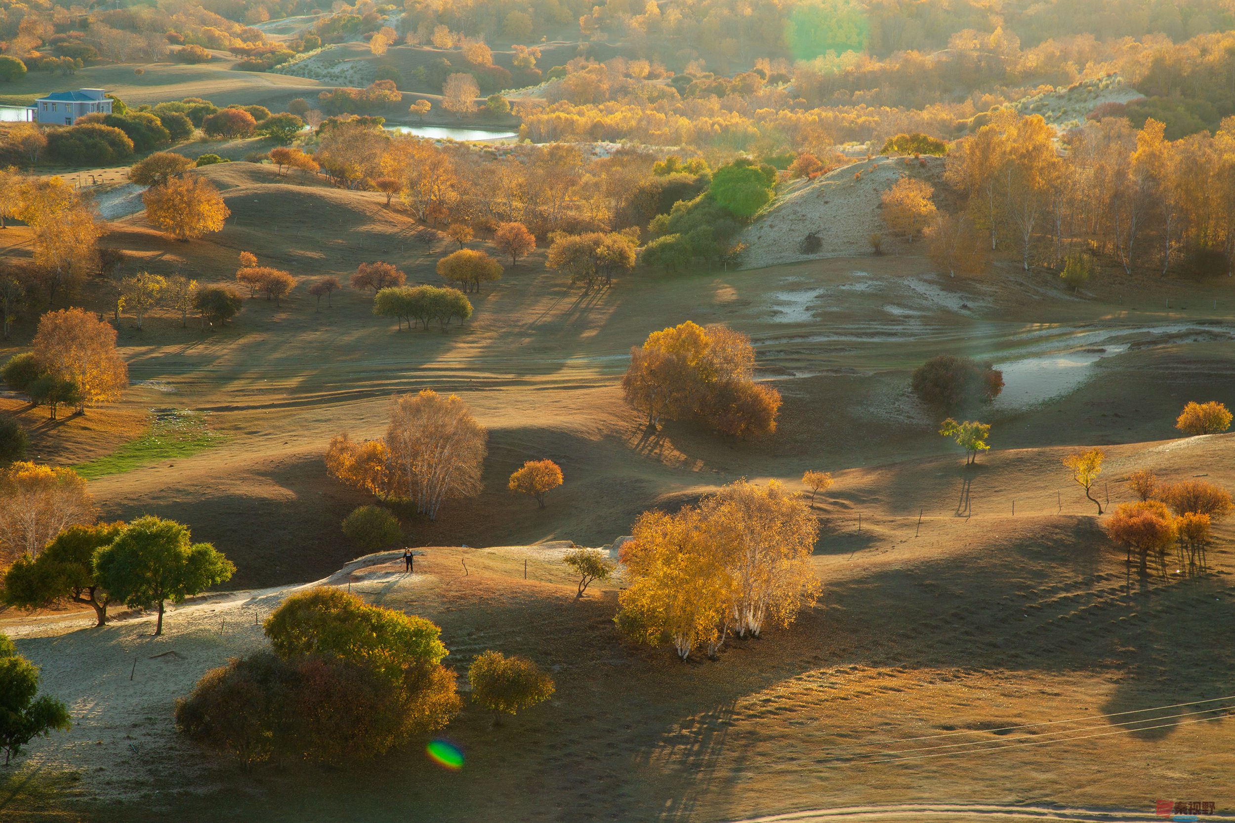 陈辉_20251013204126_2111_463 (5).jpg