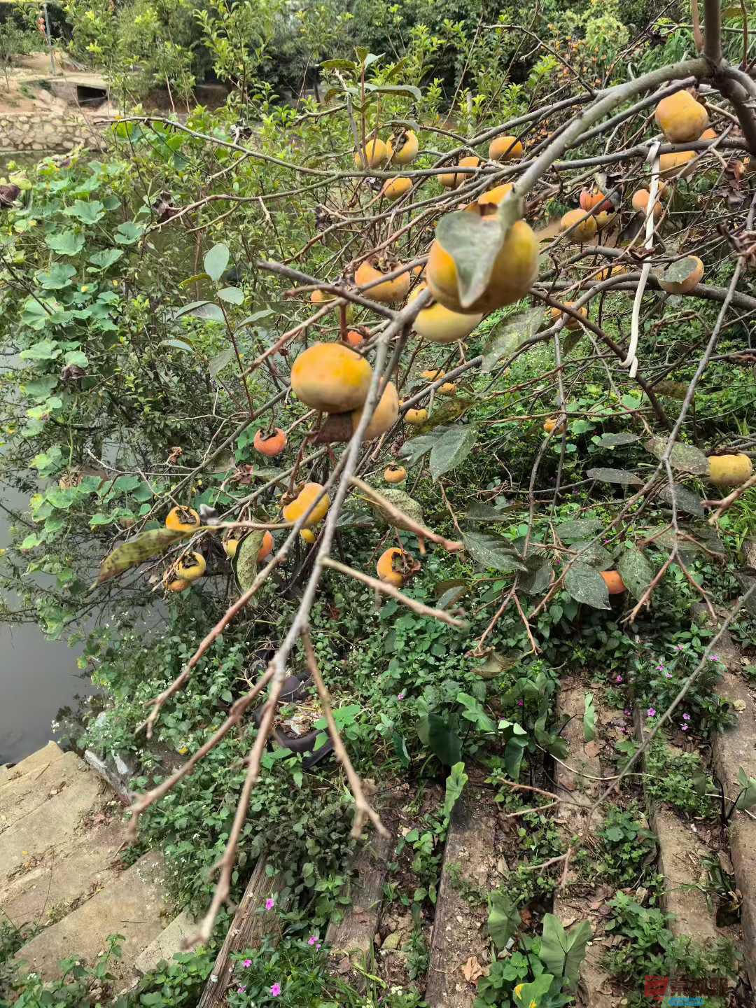 王子文_2025-10-14_191115_735 (6).jpg