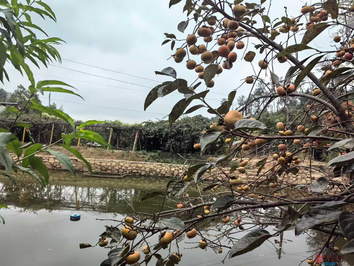 王子文_2025-10-14_191115_735 (8).jpg