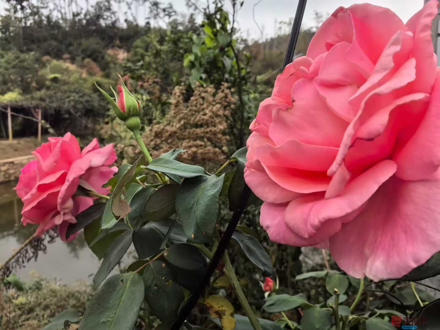 王子文_2025-10-14_191115_735 (9).jpg