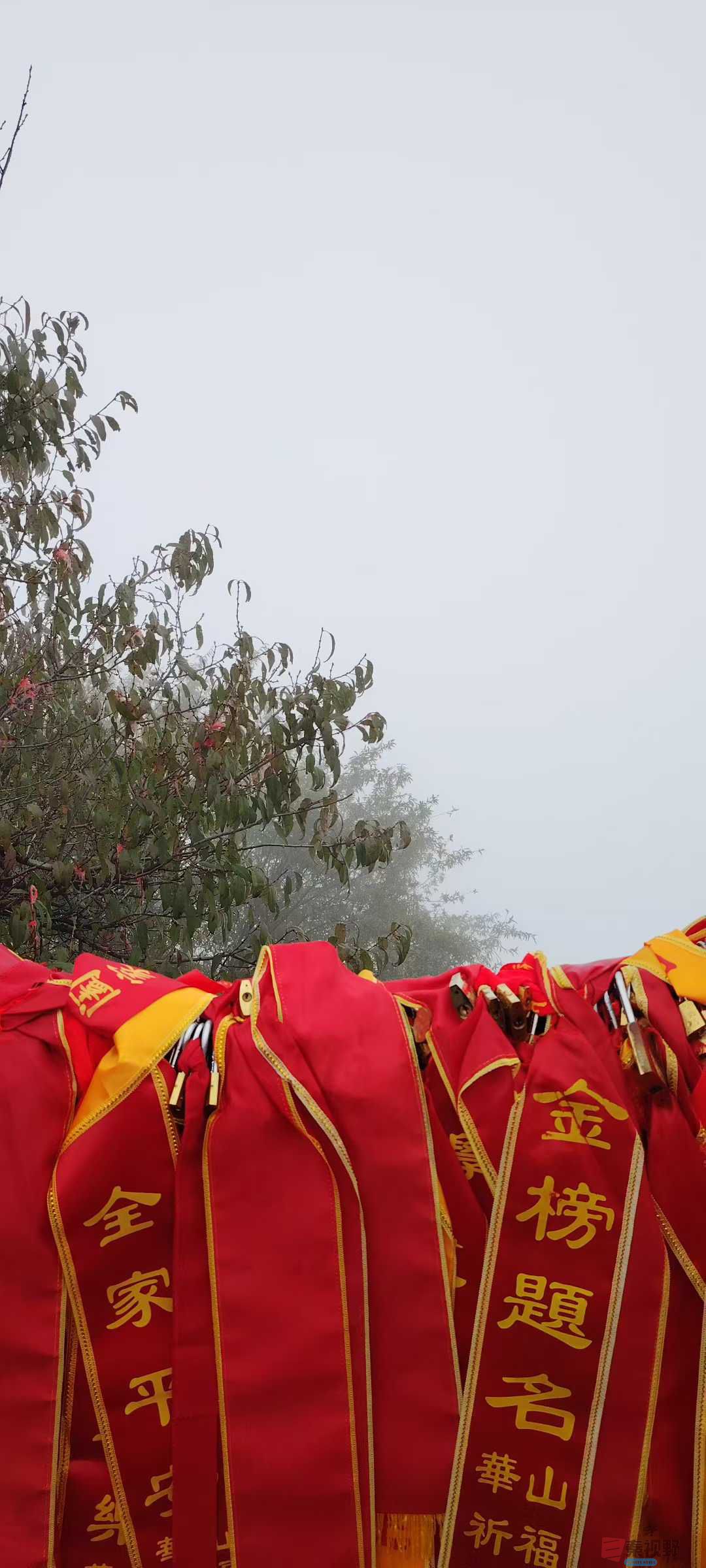 黄宪明_2025-10-16_161211_003 (9).jpg