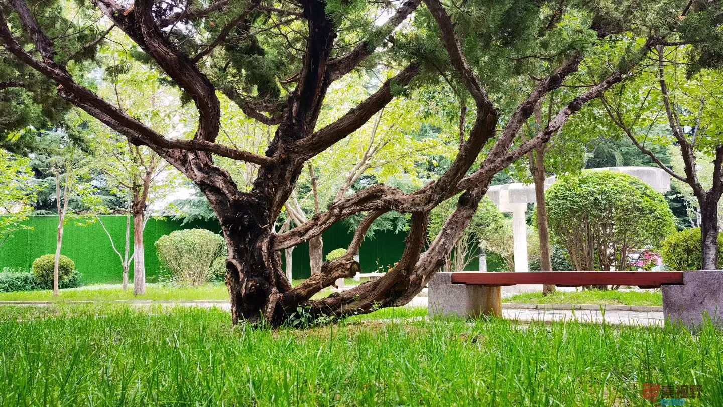 马世国20251019 (1).jpg