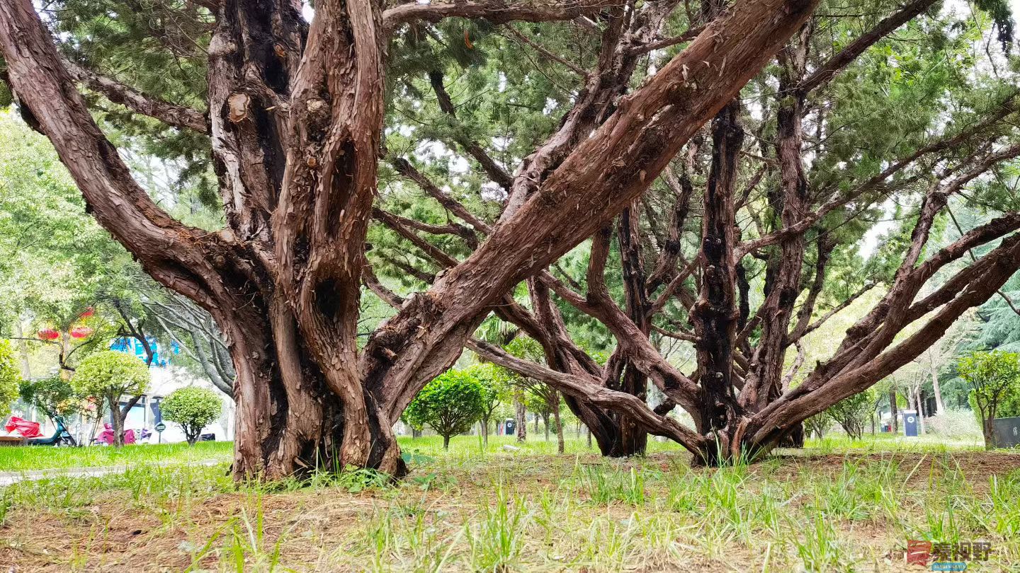 马世国20251019 (3).jpg