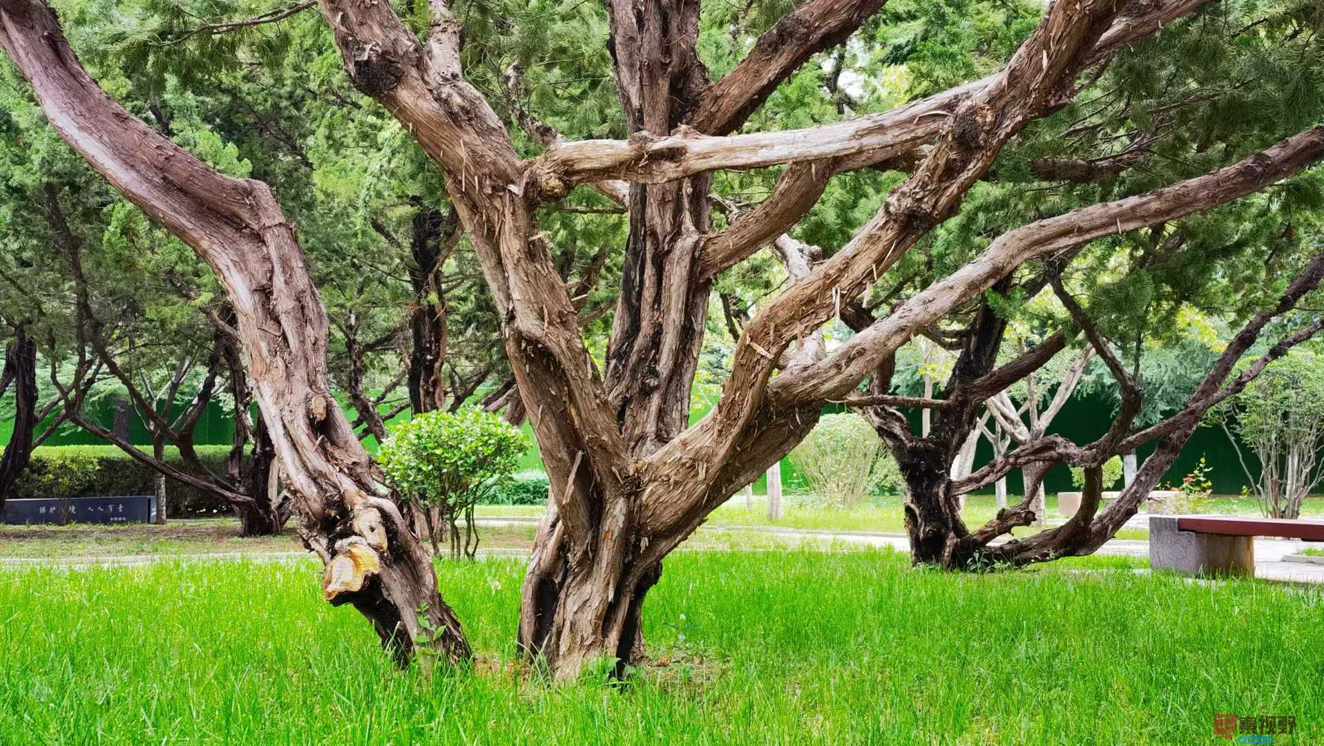 马世国20251019 (6).jpg