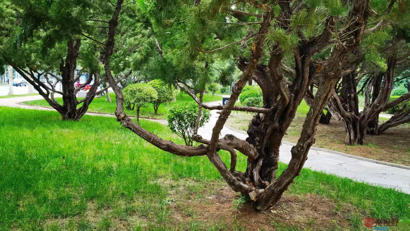 马世国20251019 (8).jpg