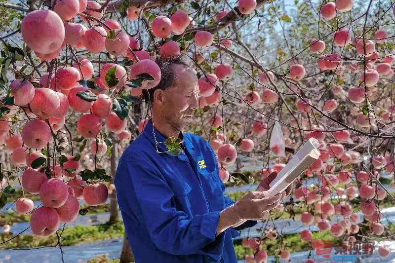 柴岁书20251019 (5).jpg