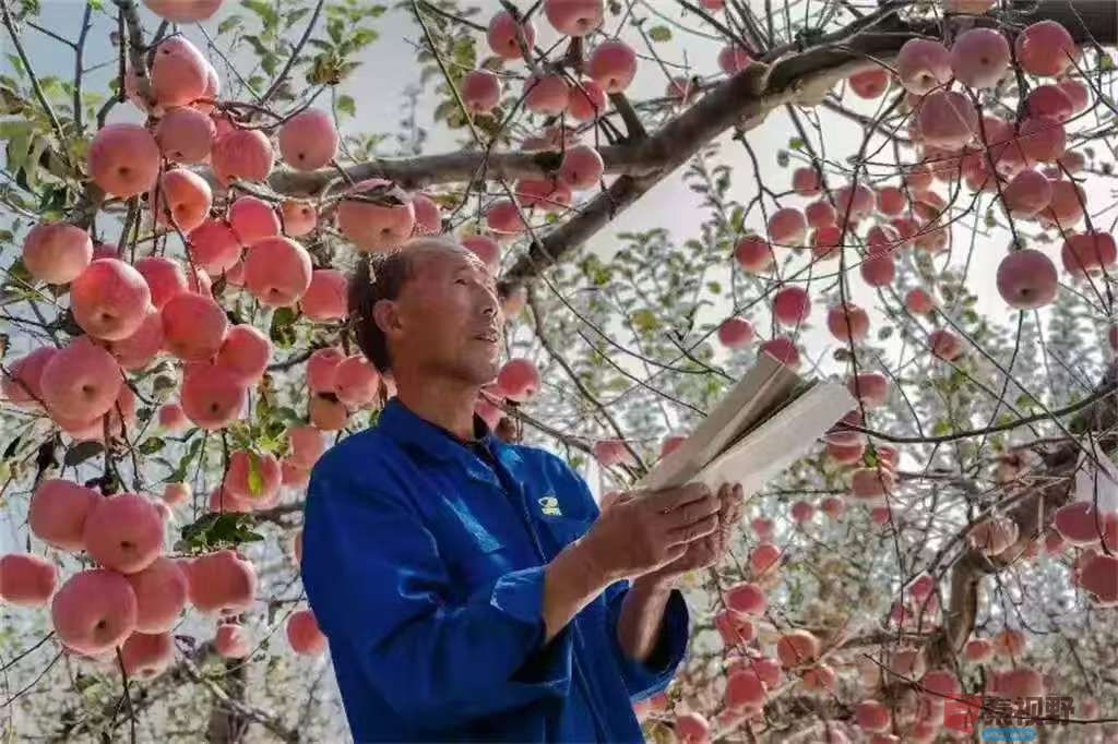 铜川耀州柴岁书摄影作品