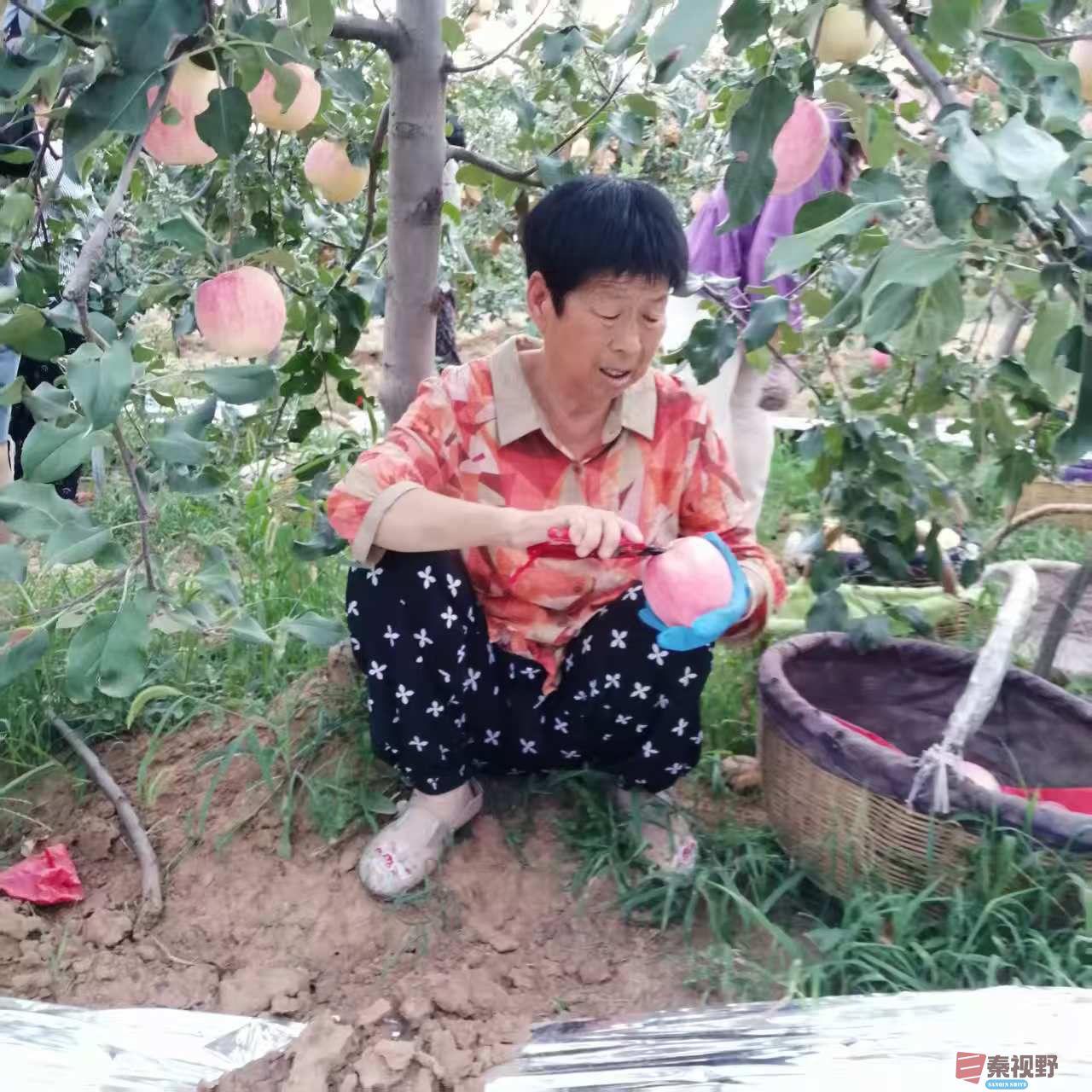 柴岁书20251019 (4).jpg