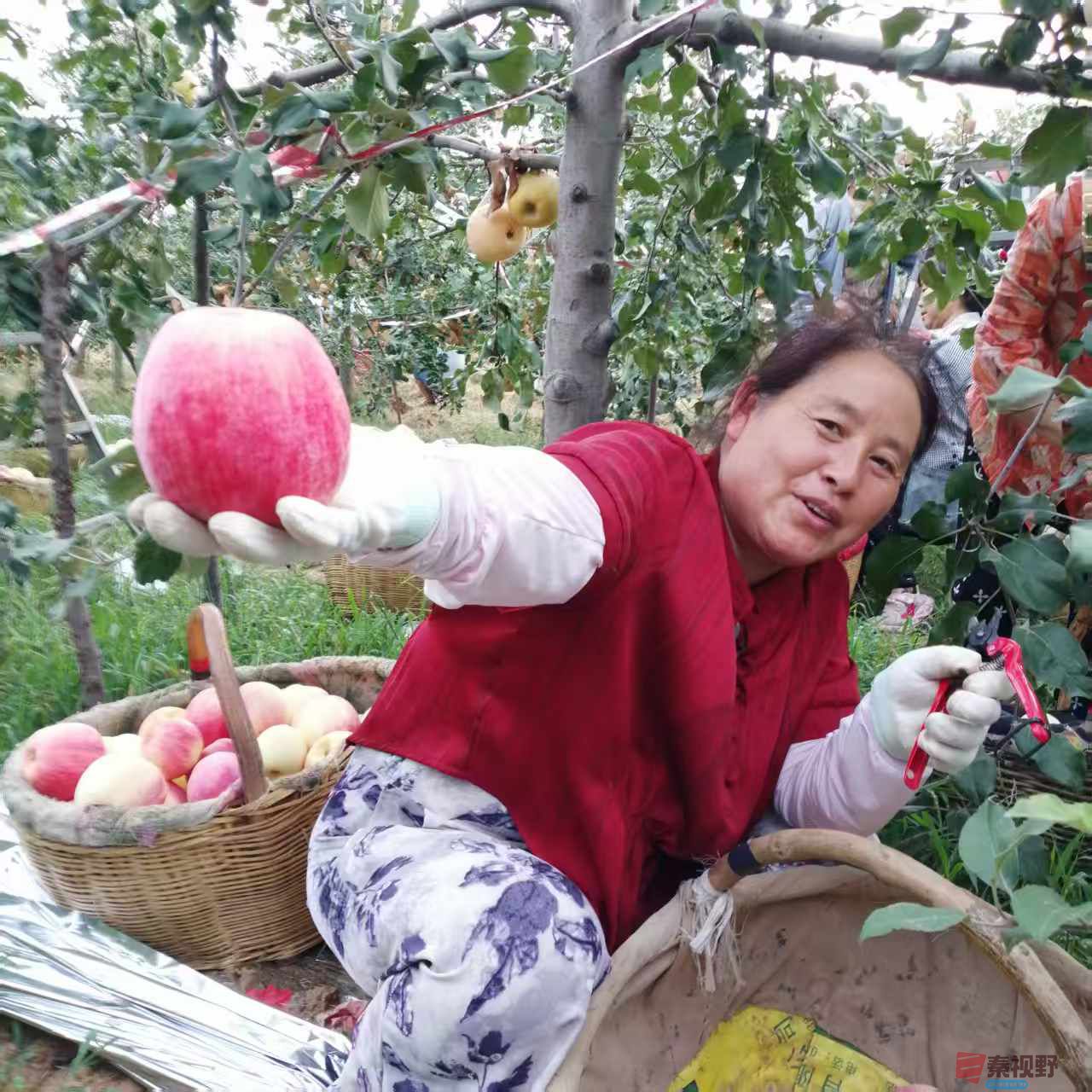 柴岁书20251019 (6).jpg