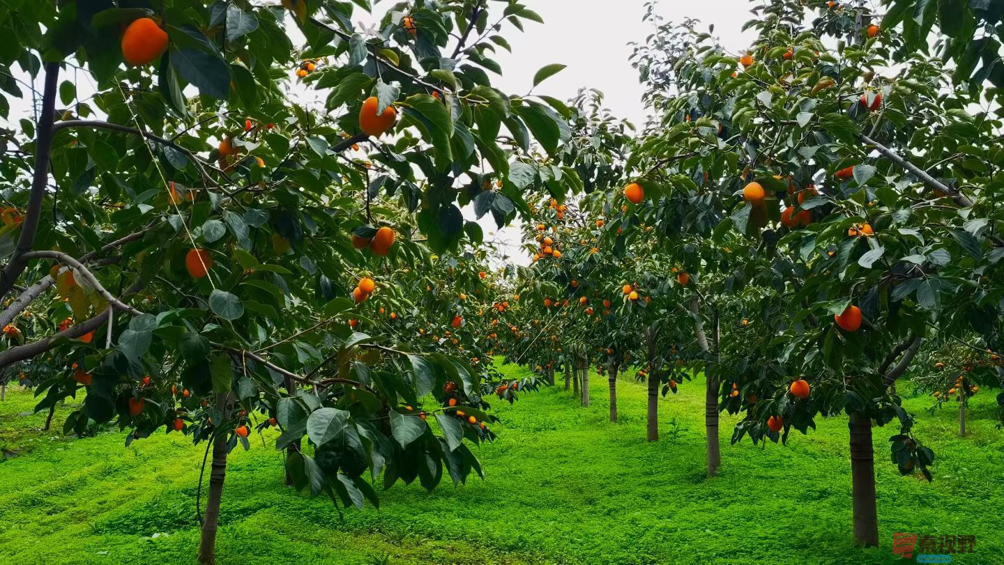 马世国20251019 (8).jpg