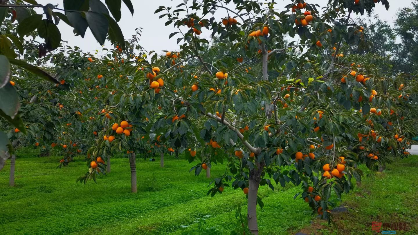 马世国20251019 (7).jpg