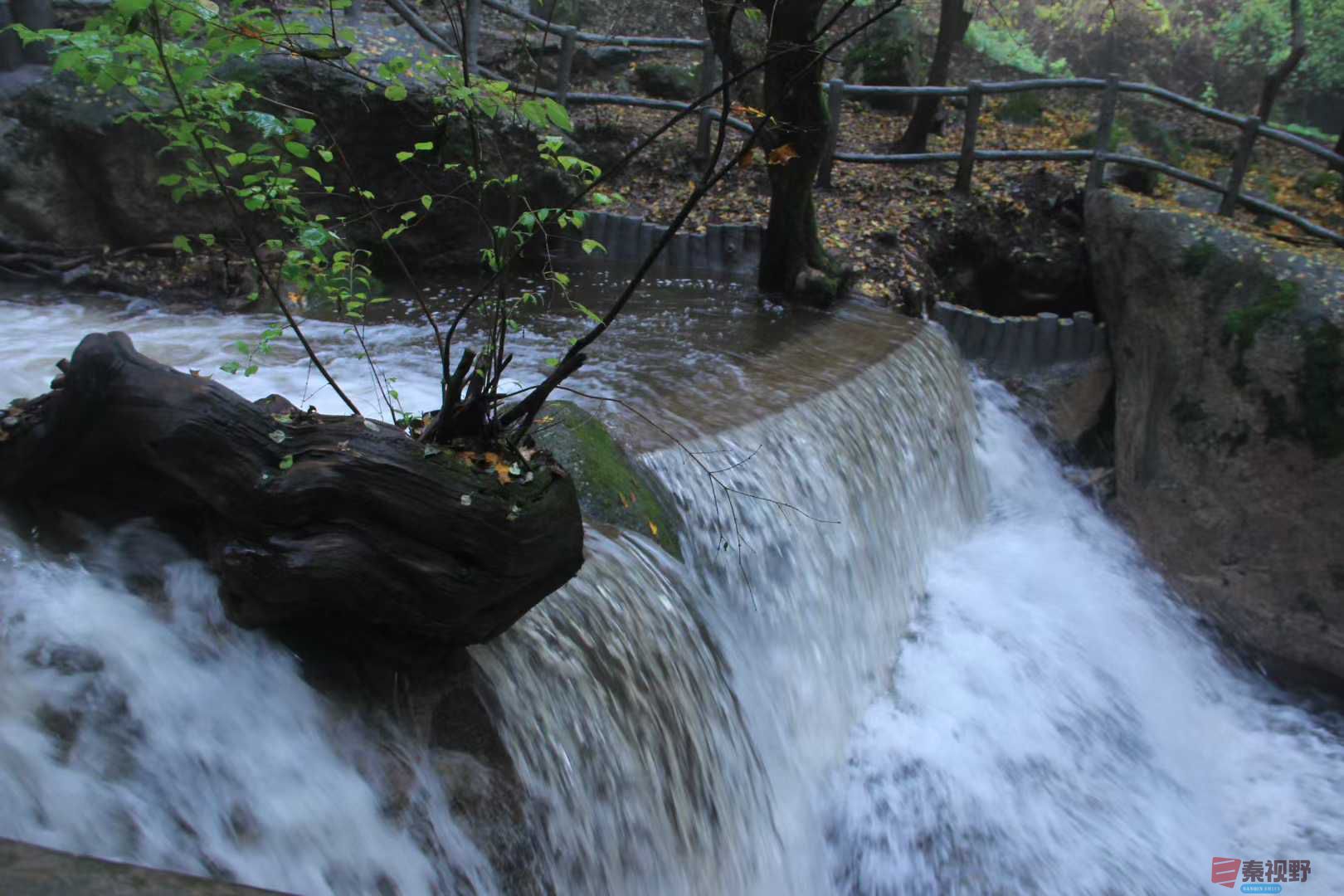 魏俊霞_2025-10-18_220243_730 (2).jpg