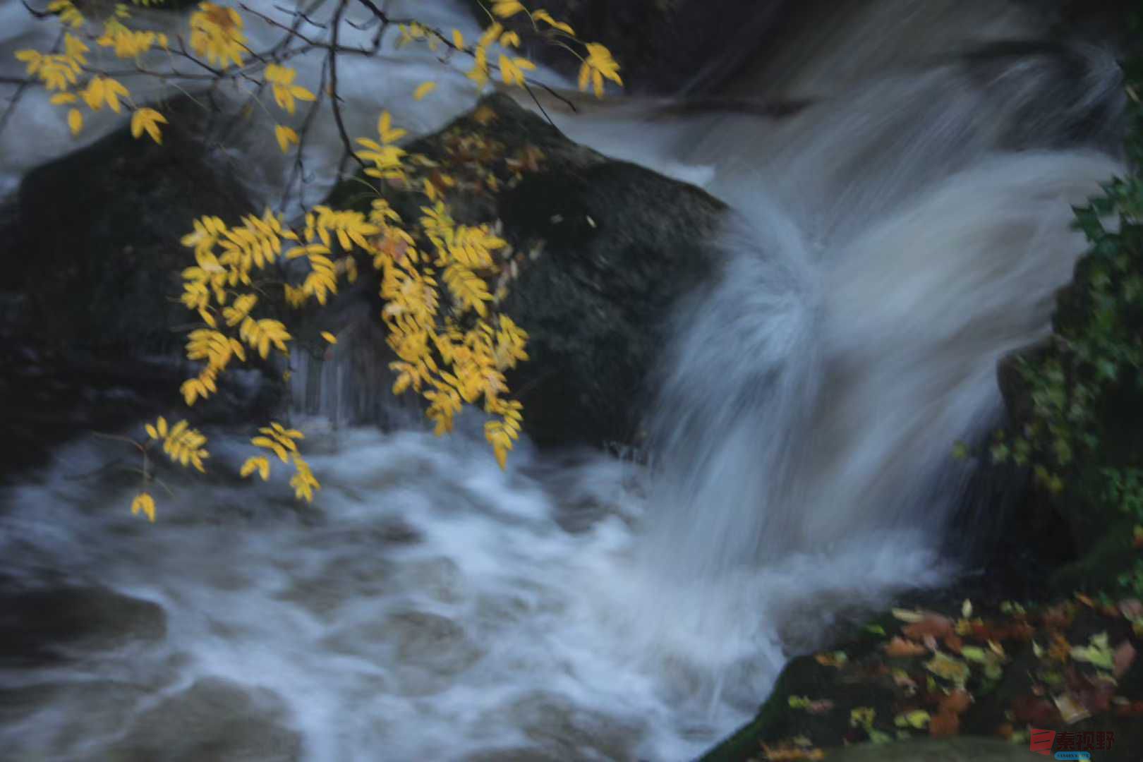 魏俊霞_2025-10-18_220243_730 (3).jpg