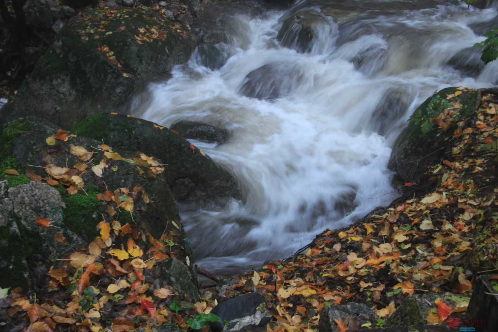 <strong>秋天里的诗情画意【摄影魏俊霞】</strong>