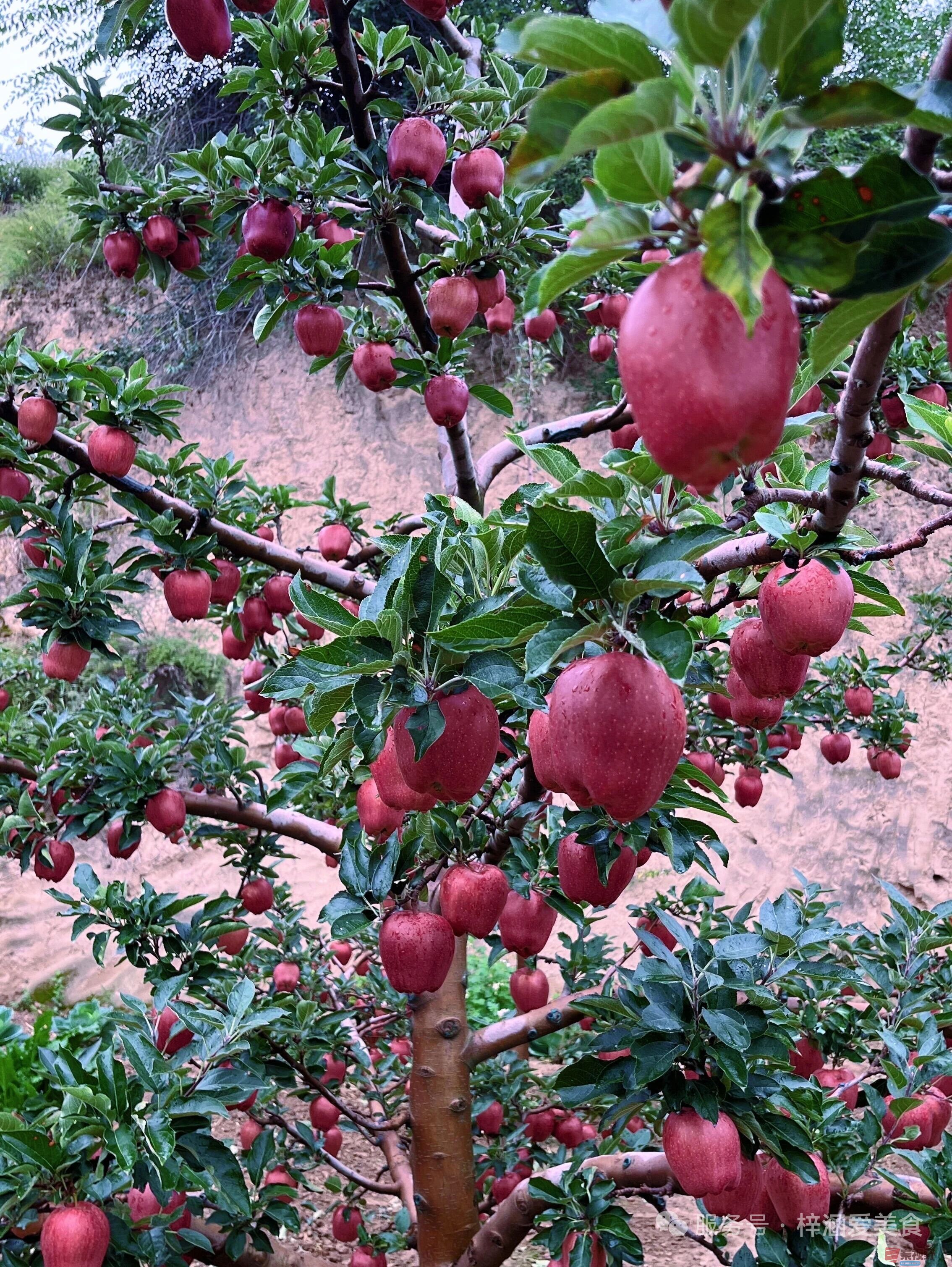 柴岁书20251019 (32).jpg