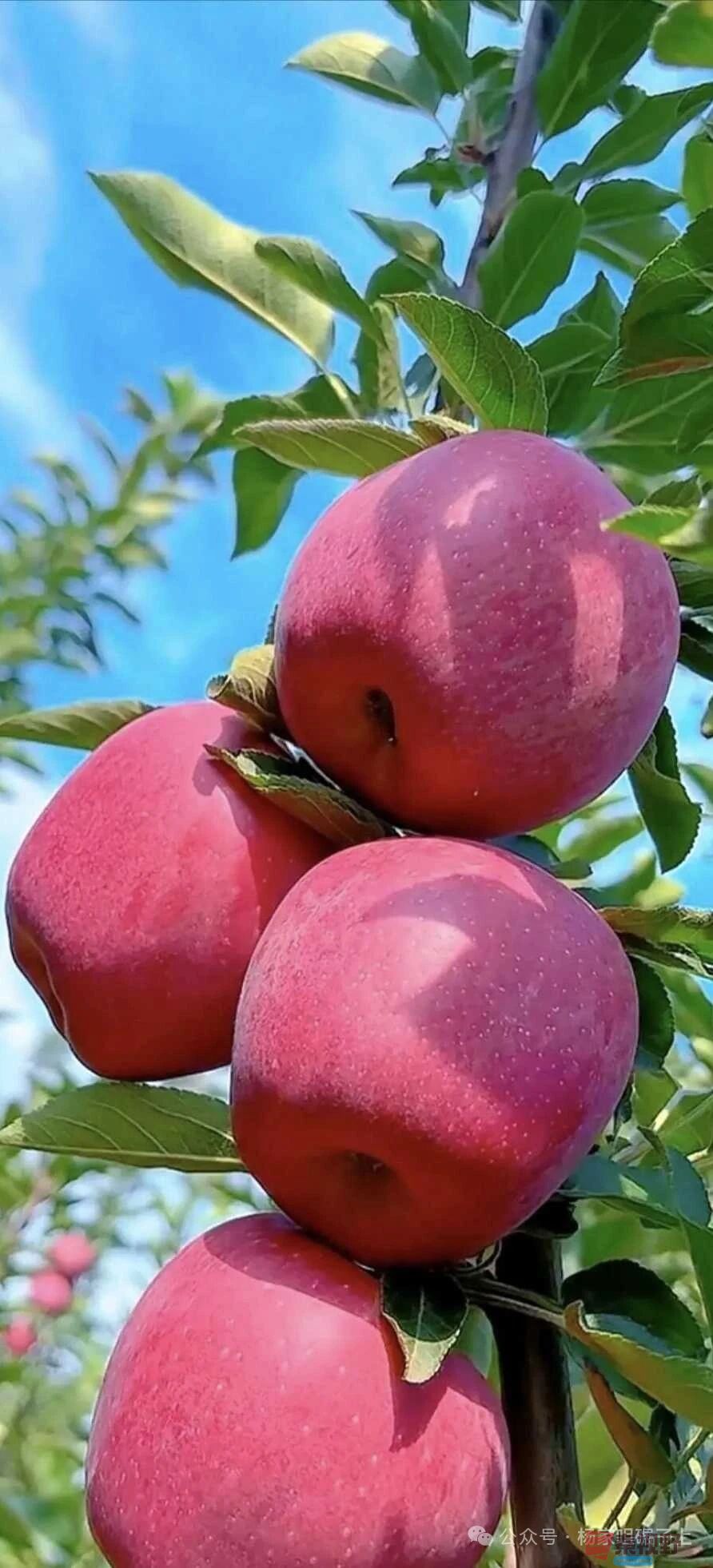 柴岁书20251019 (30).jpg