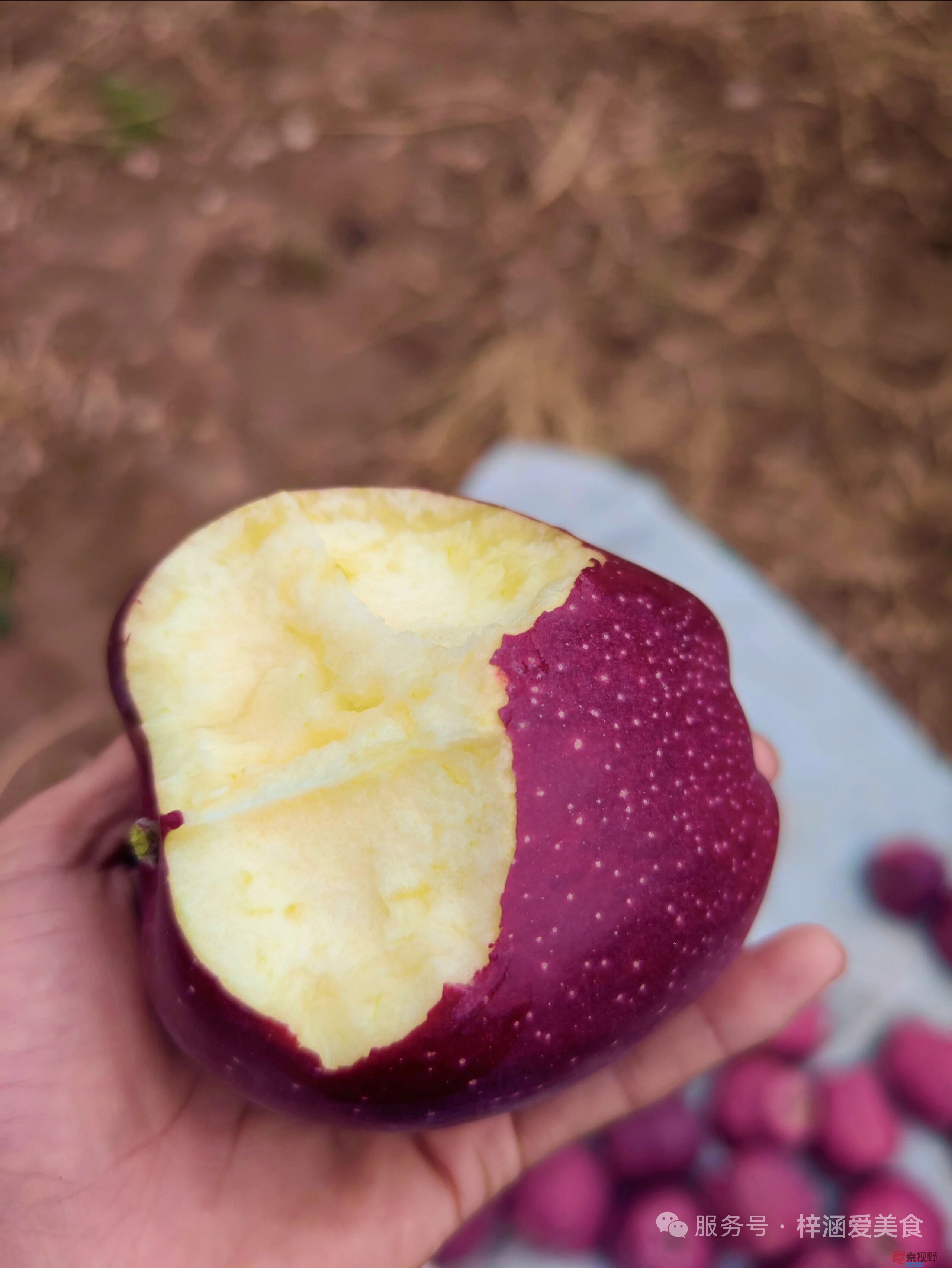 柴岁书20251019 (31).jpg