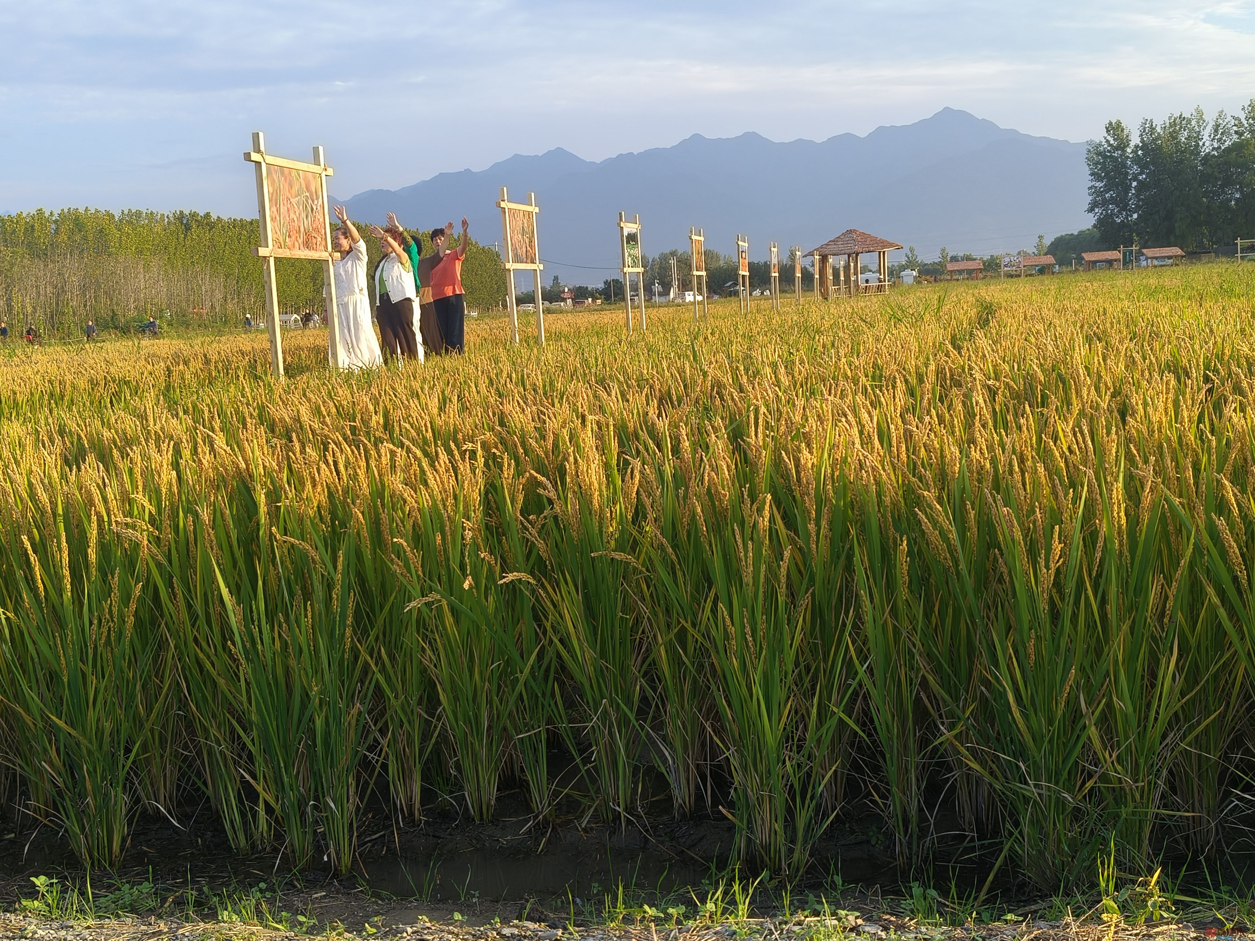 任周民_20251020143321_7_1580 (5).jpg