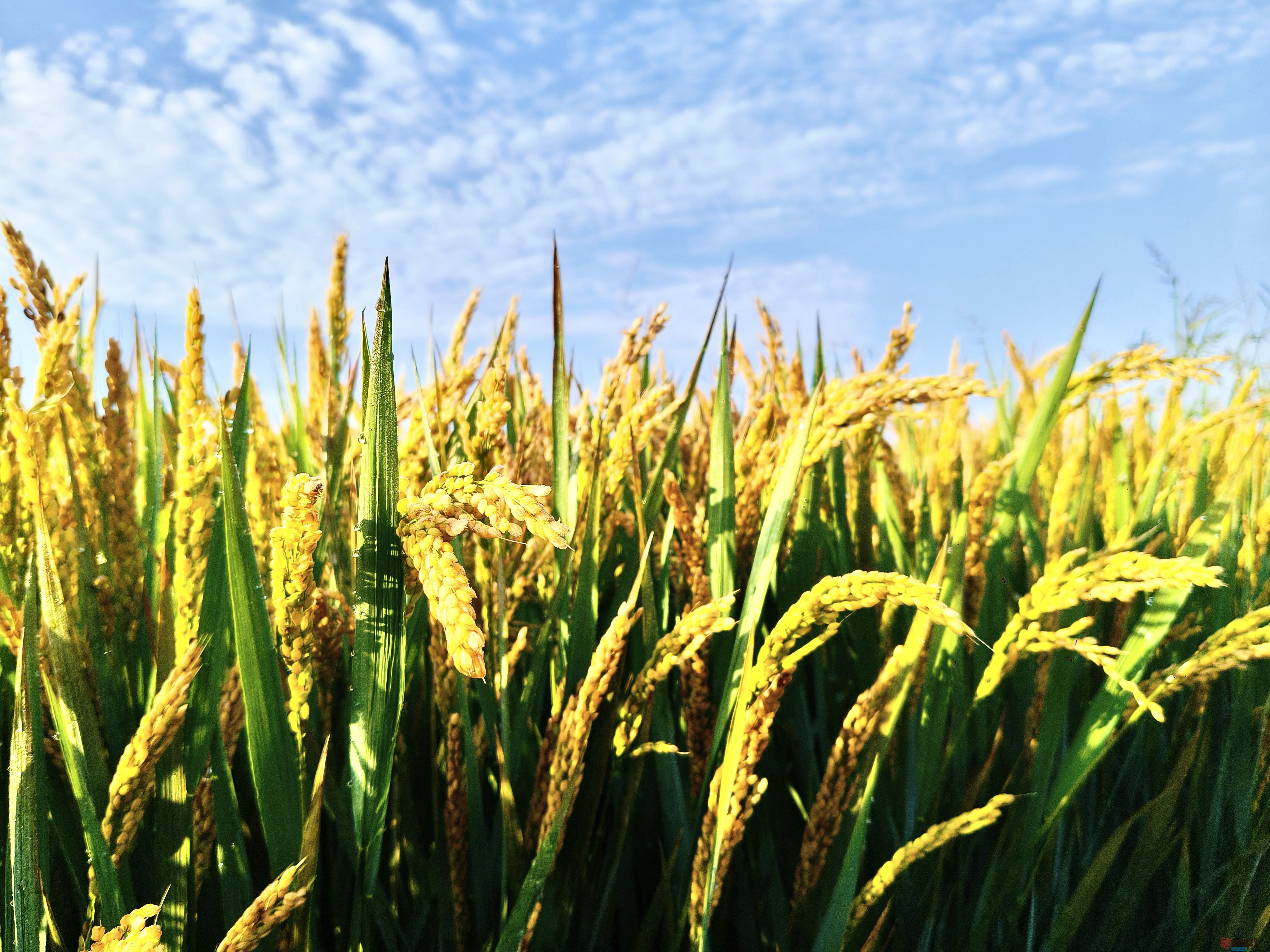 任周民_20251020143321_7_1580 (6).jpg