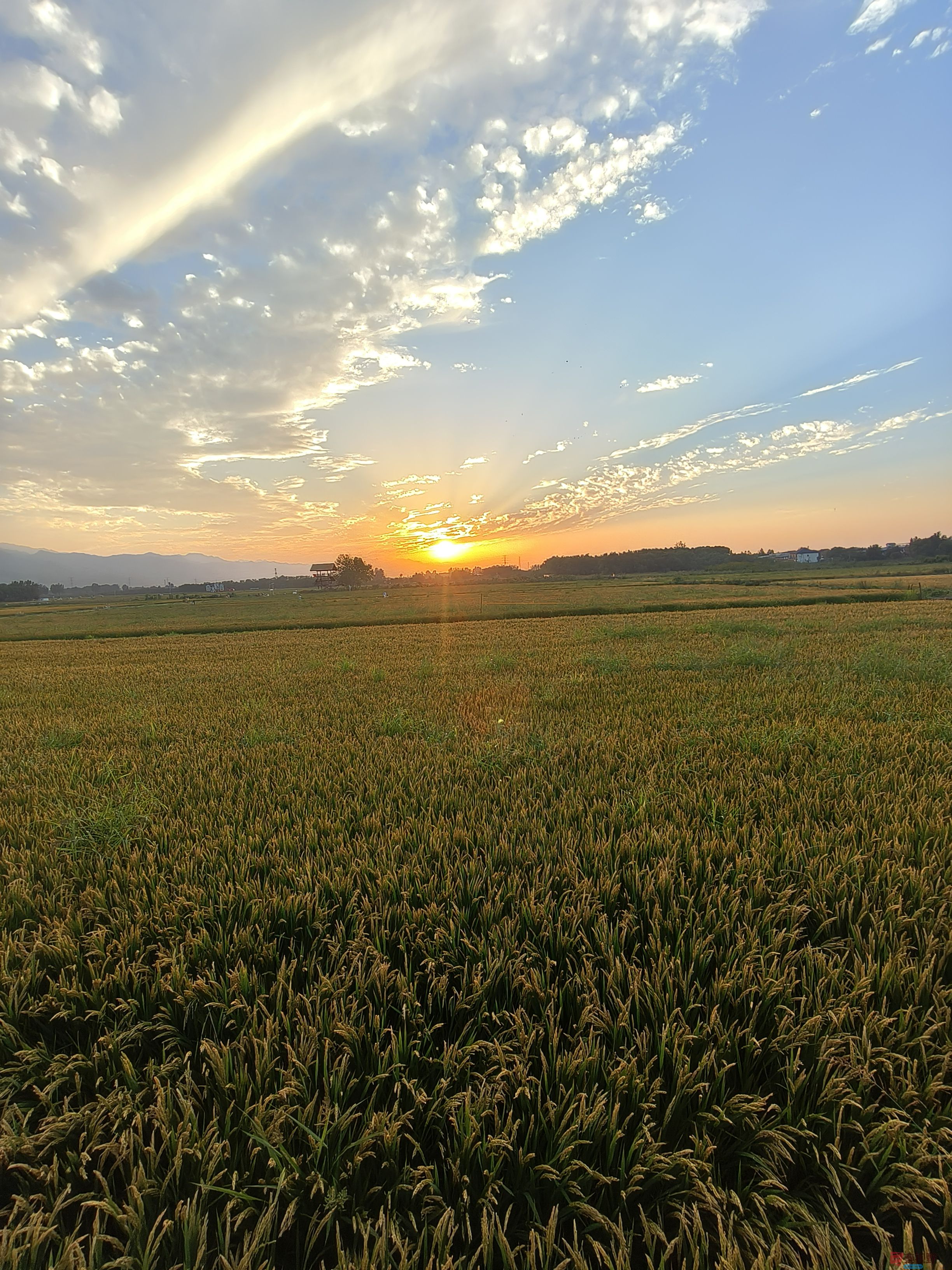 任周民_20251020143321_7_1580 (7).jpg