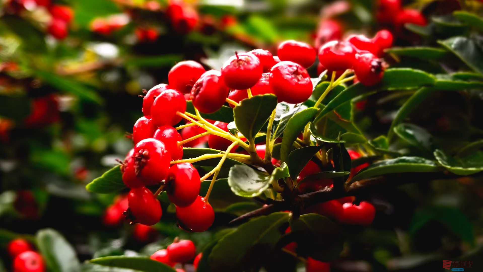 马世国_2025-10-21_091256_367 (5).jpg