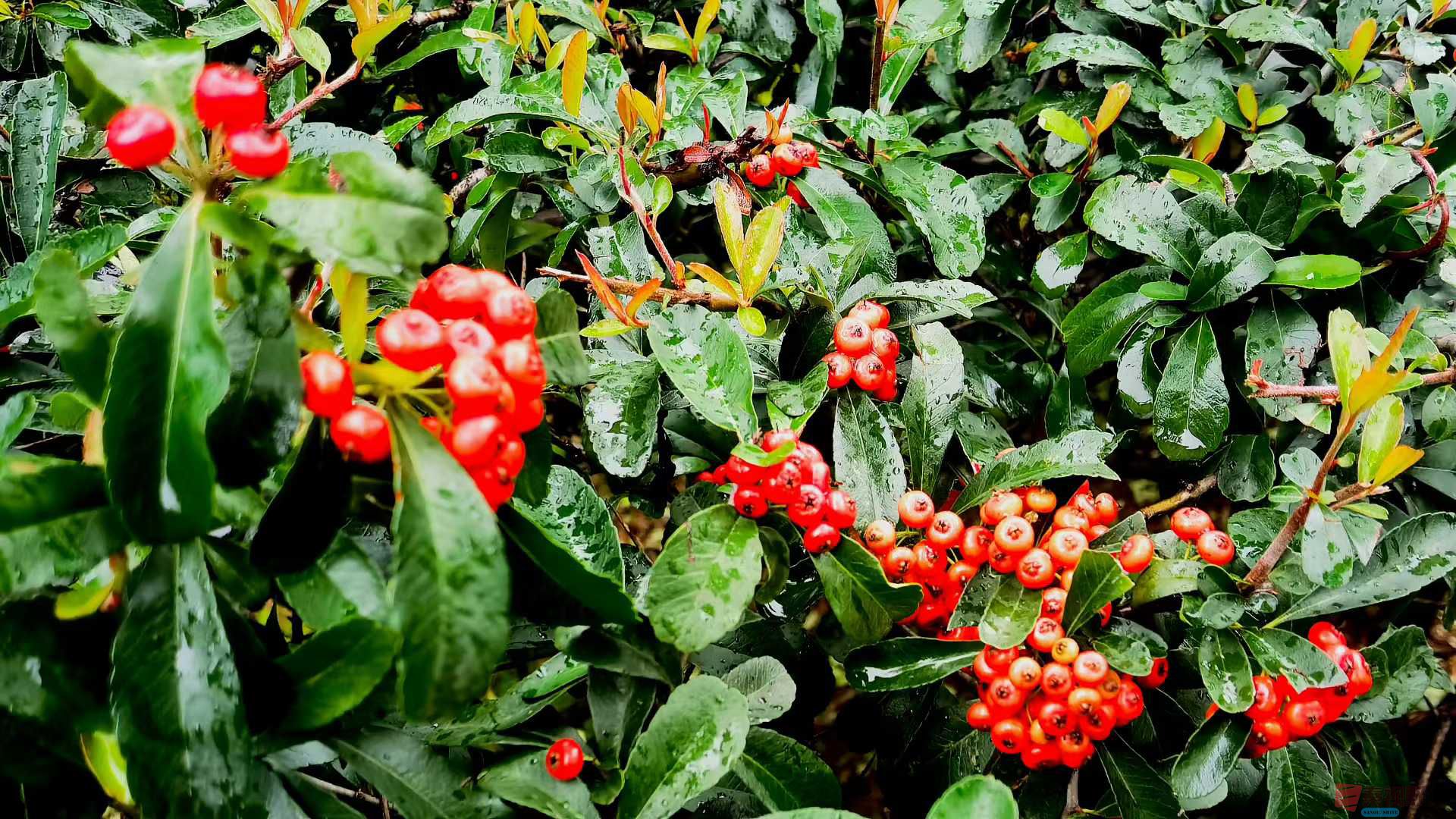 马世国_2025-10-21_091256_367 (7).jpg