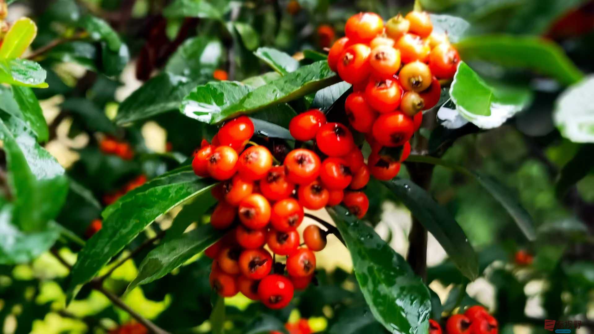 马世国_2025-10-21_091256_367 (8).jpg