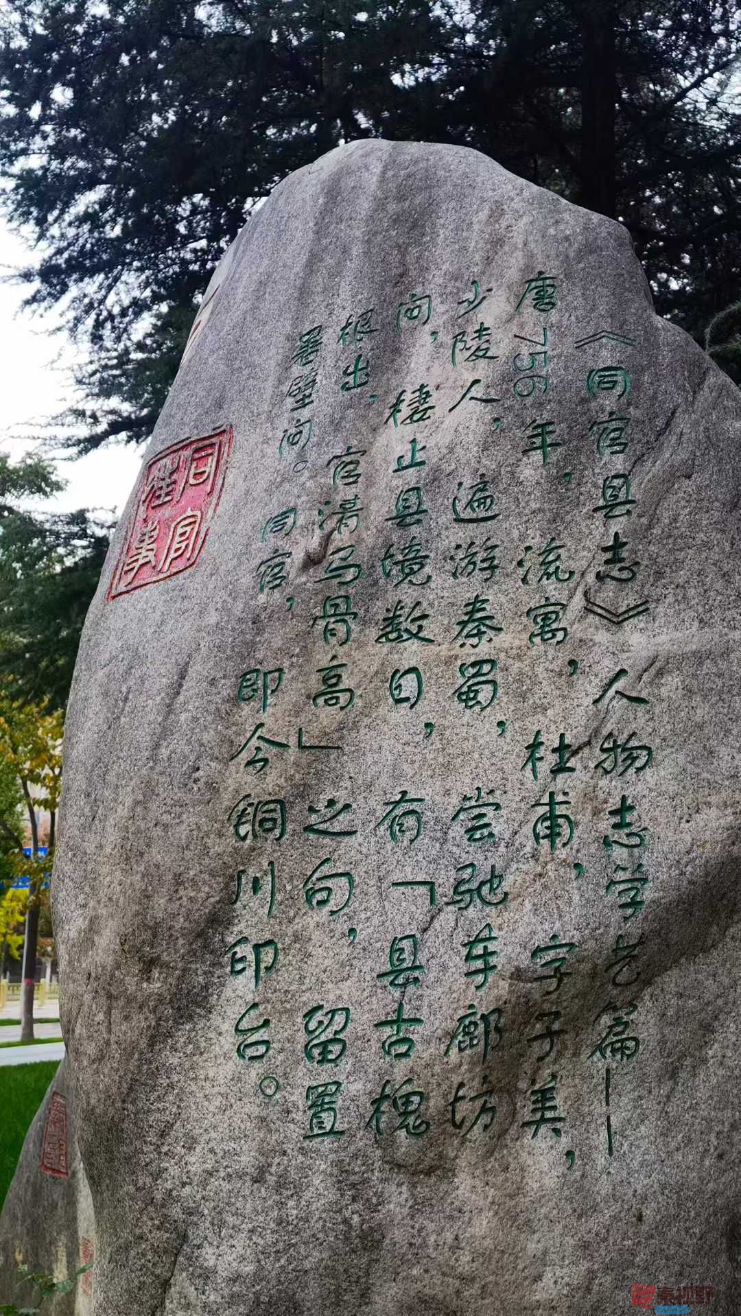 马世国_2025-10-22_105344_630 (3).jpg