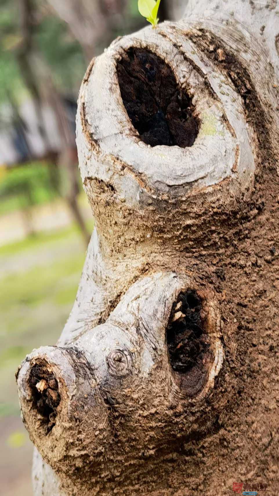 马世国_2025-10-22_105344_630 (4).jpg